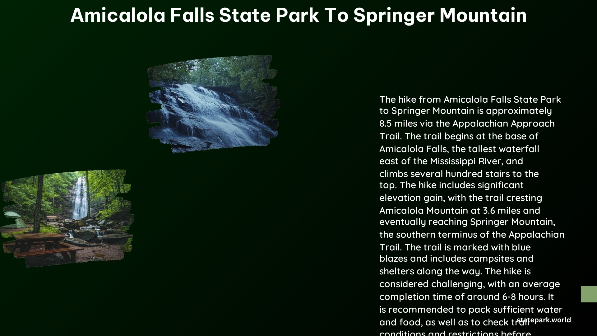 Amicalola Falls State Park to Springer Mountain