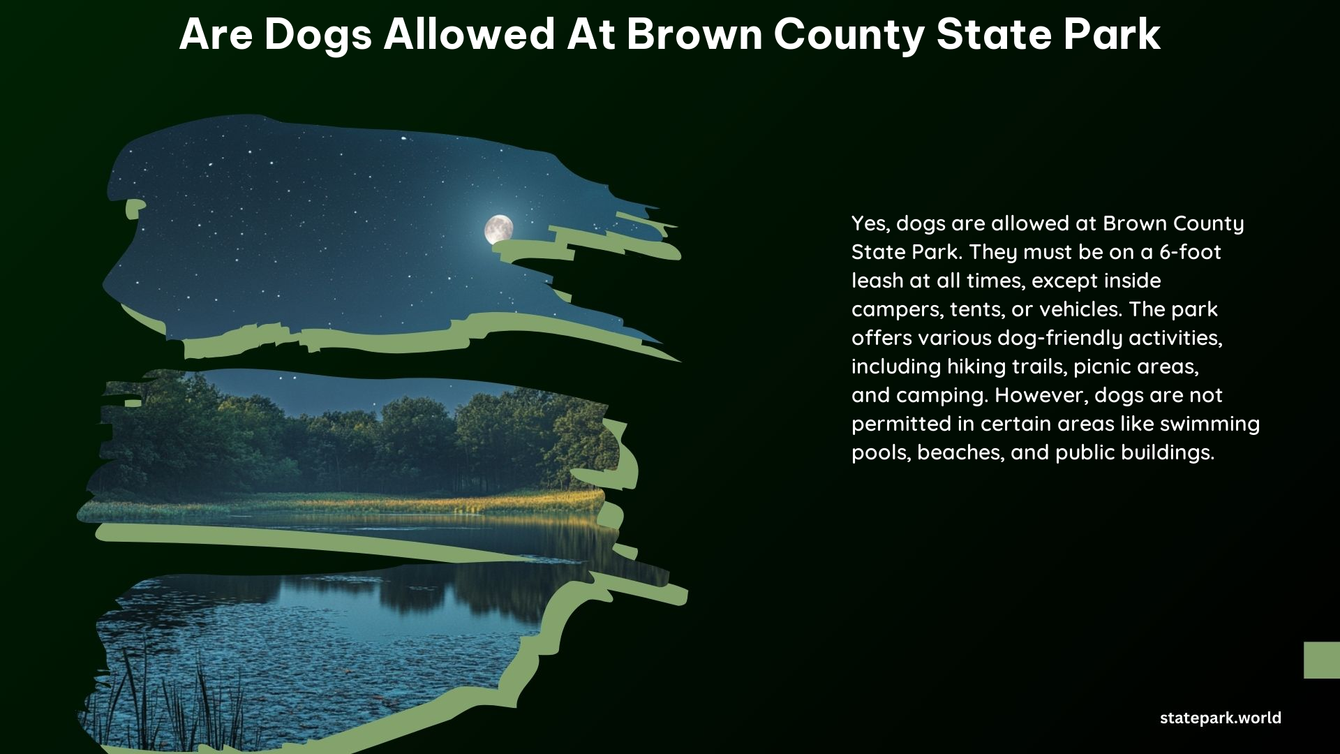 Are Dogs Allowed at Brown County State Park