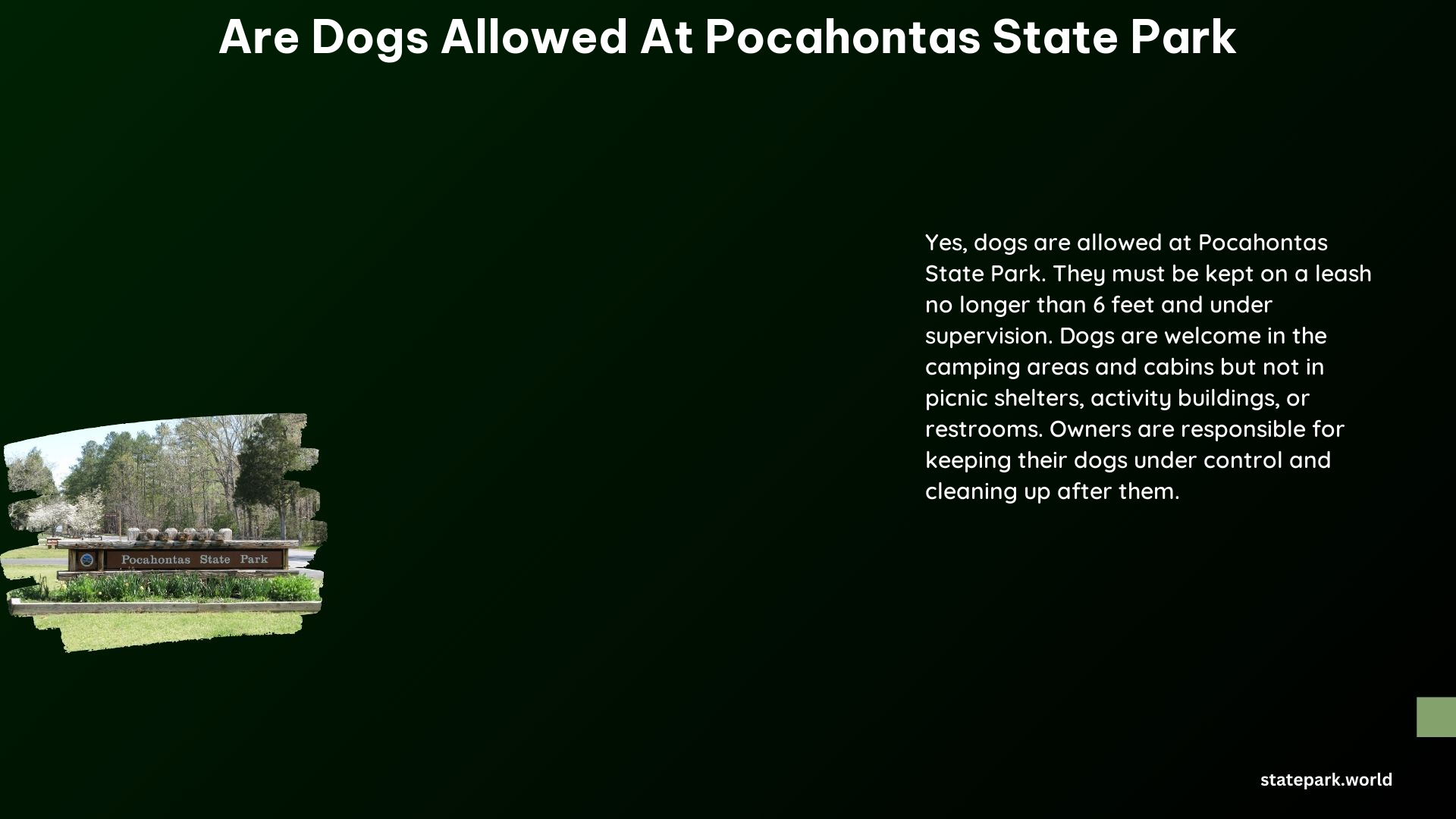 Are Dogs Allowed at Pocahontas State Park