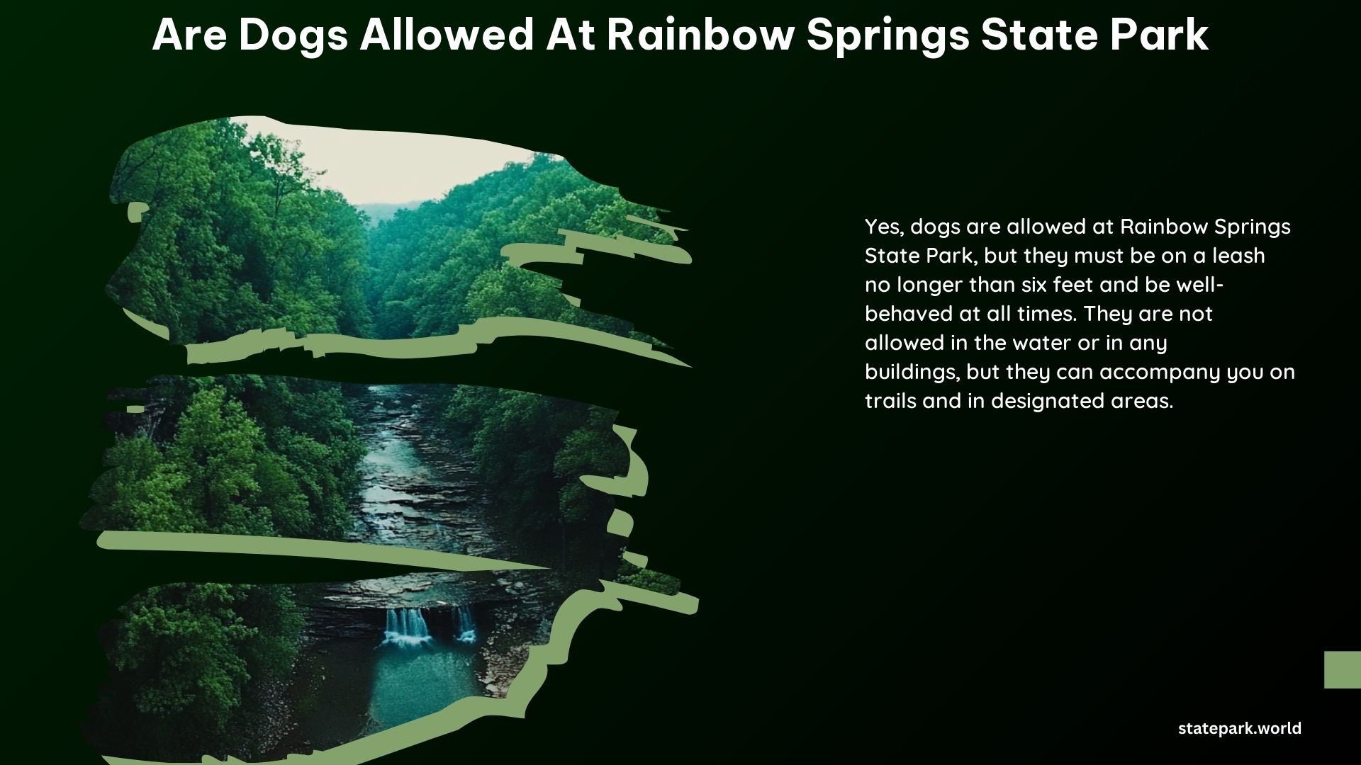 Are Dogs Allowed at Rainbow Springs State Park