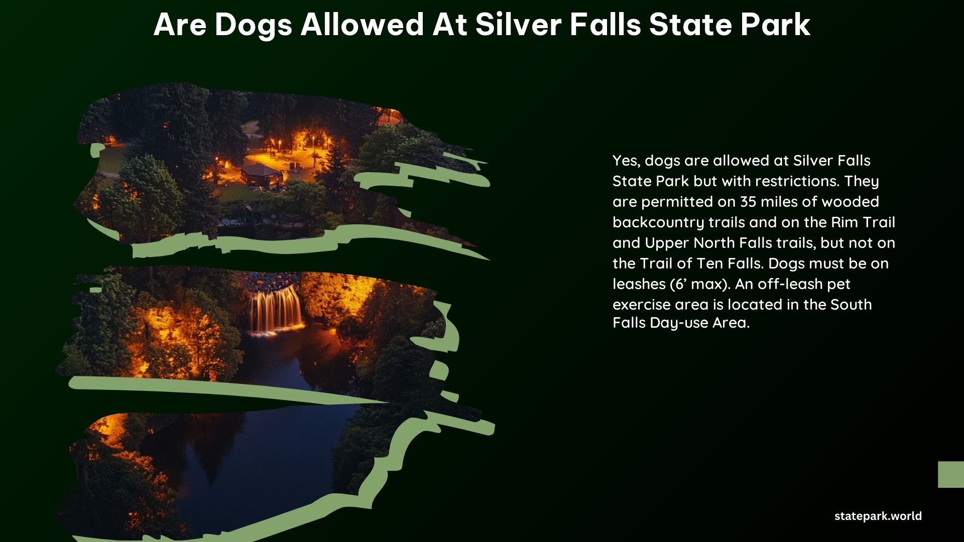 Are Dogs Allowed at Silver Falls State Park