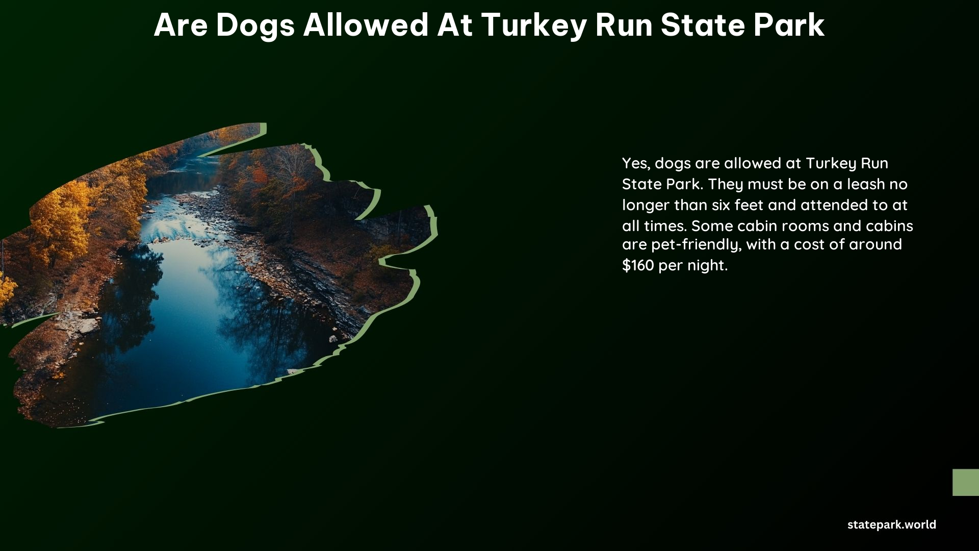 Are Dogs Allowed at Turkey Run State Park