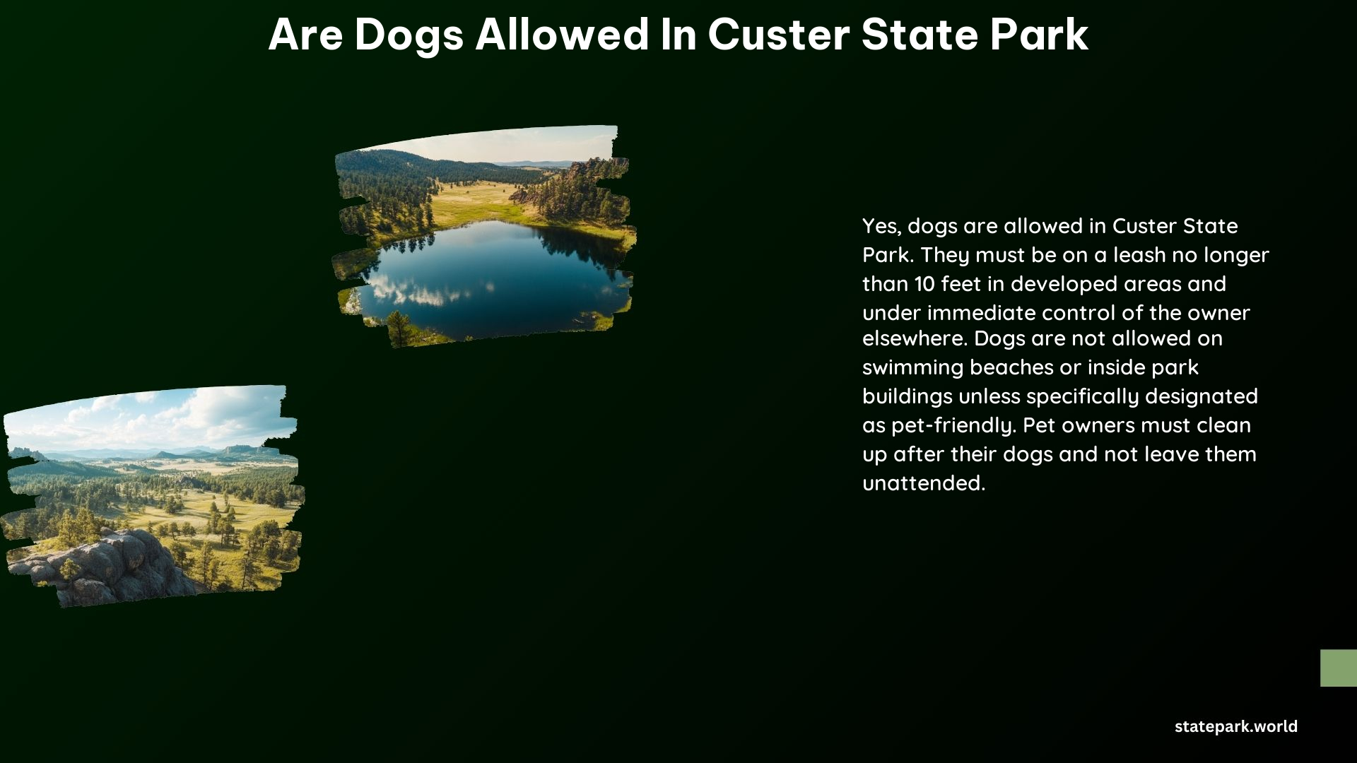 Are Dogs Allowed in Custer State Park