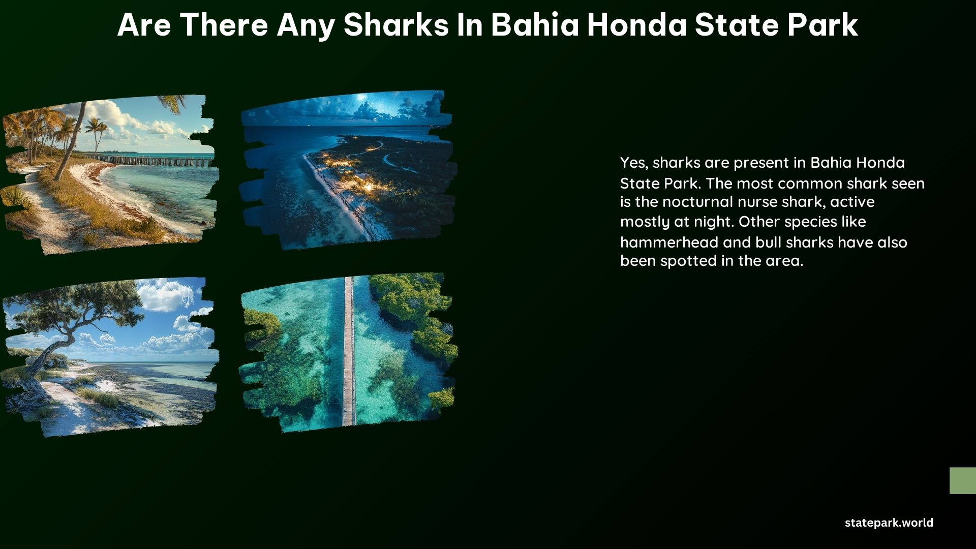 Are there any sharks in Bahia Honda State Park