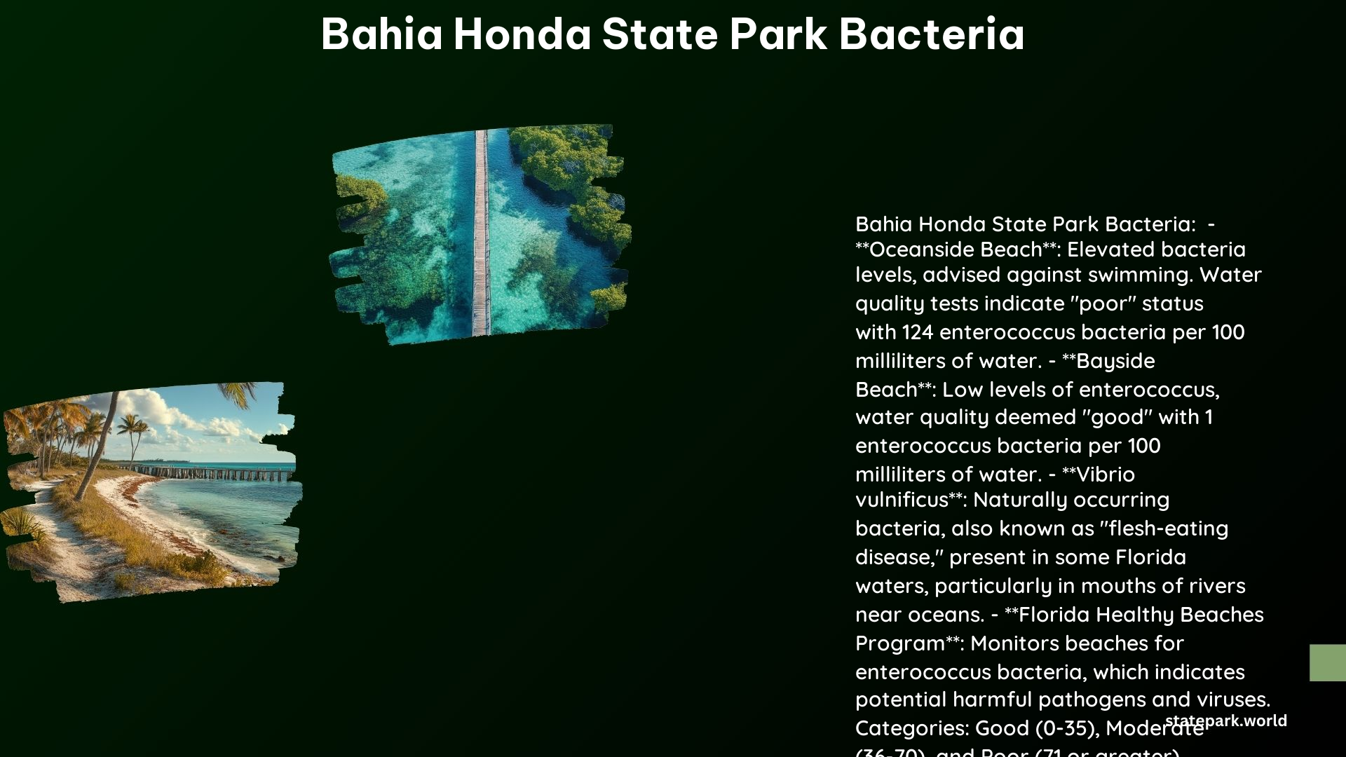 Bahia Honda State Park Bacteria