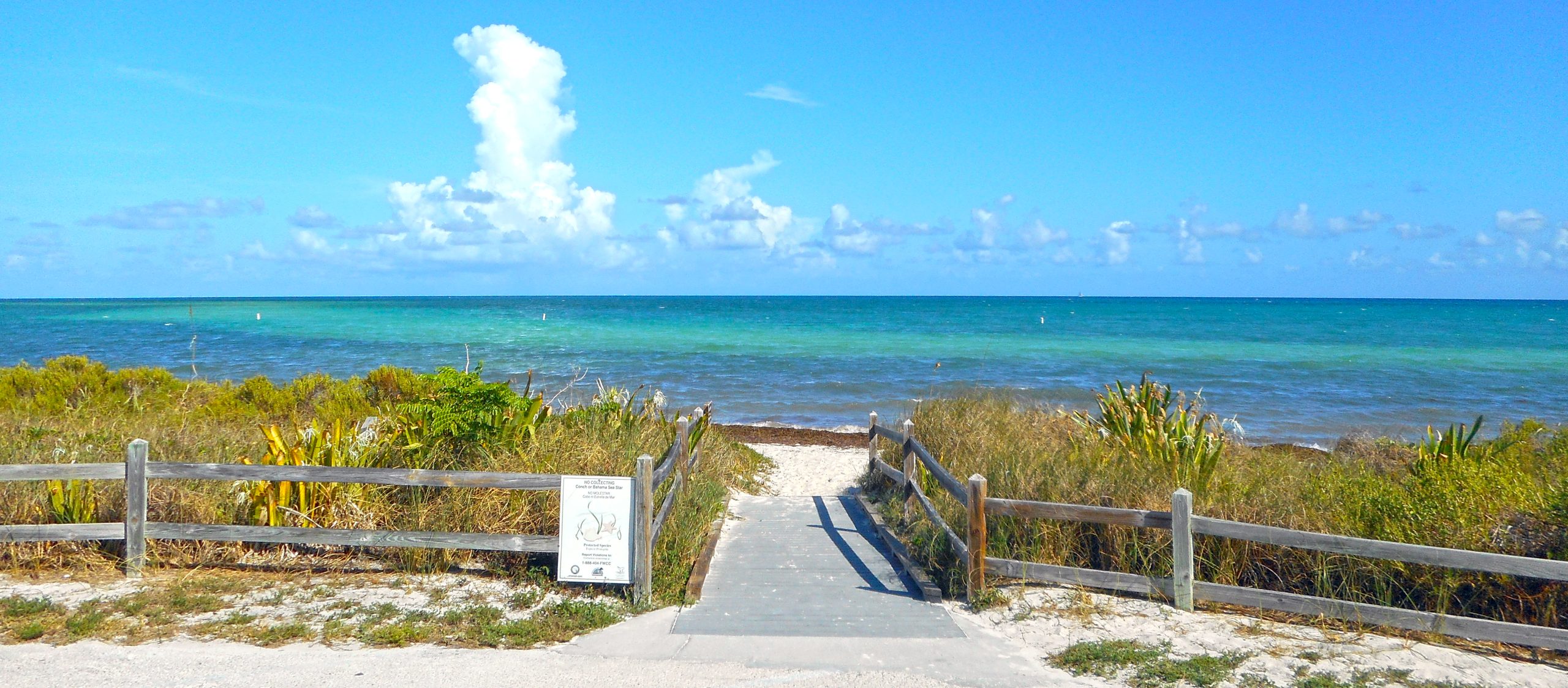 Are there any sharks in Bahia Honda State Park