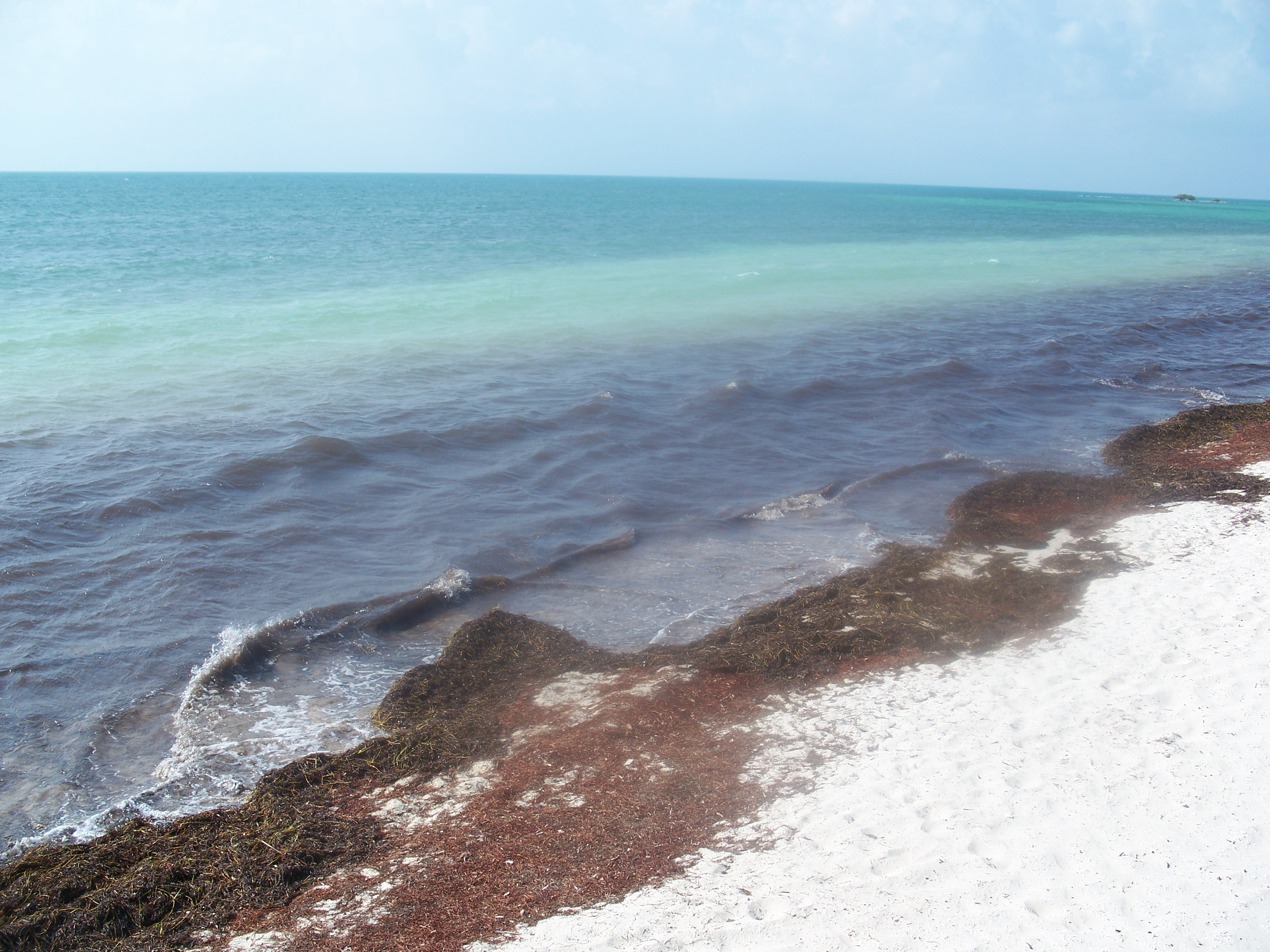 Bahia Honda State Park to Key Largo