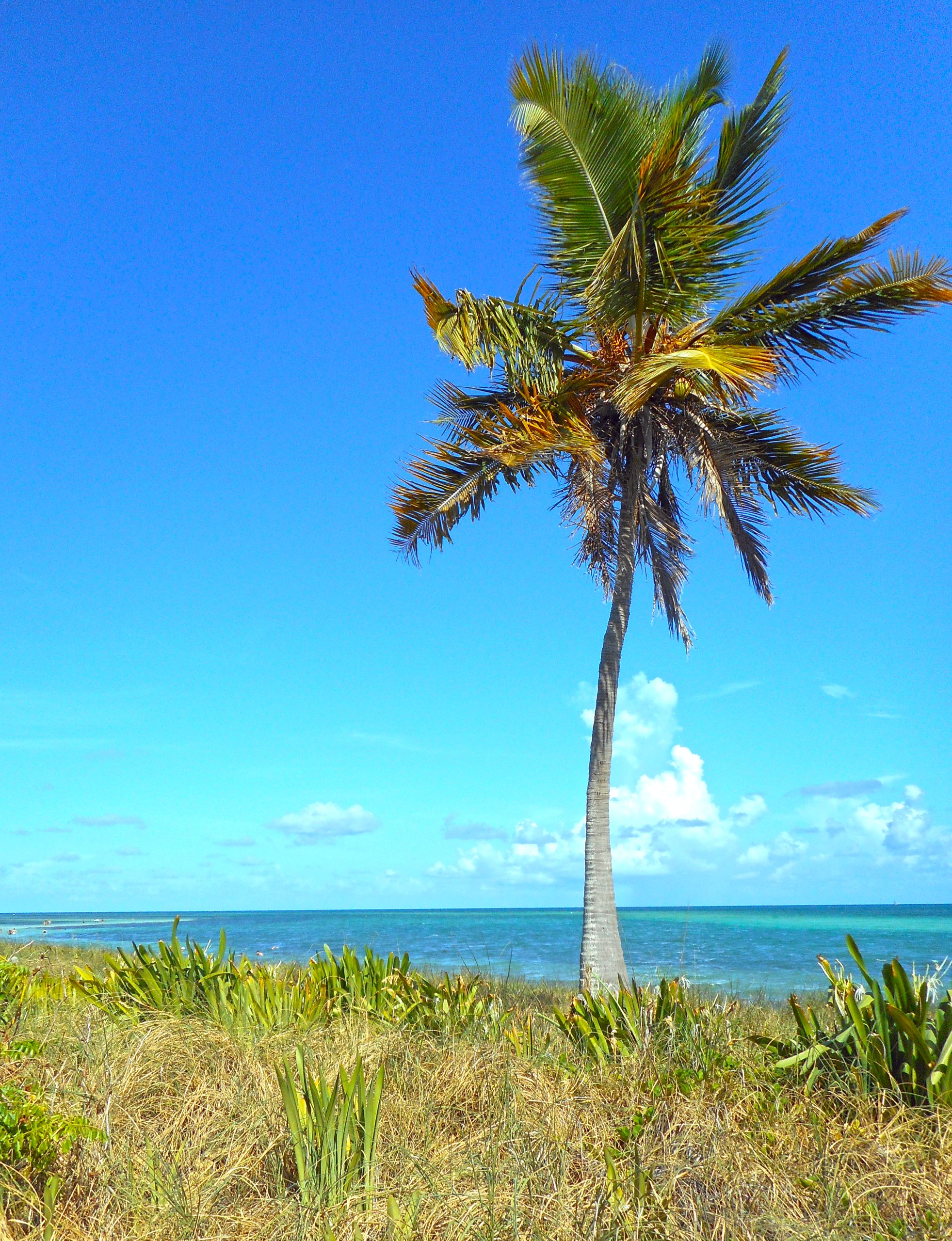 Are There Any Restrictions on Drinking in the Bahia Honda State Park