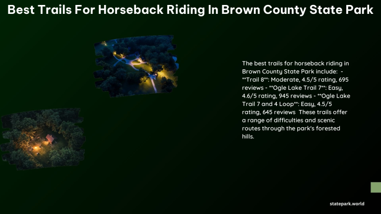 Best Trails for Horseback Riding in Brown County State Park