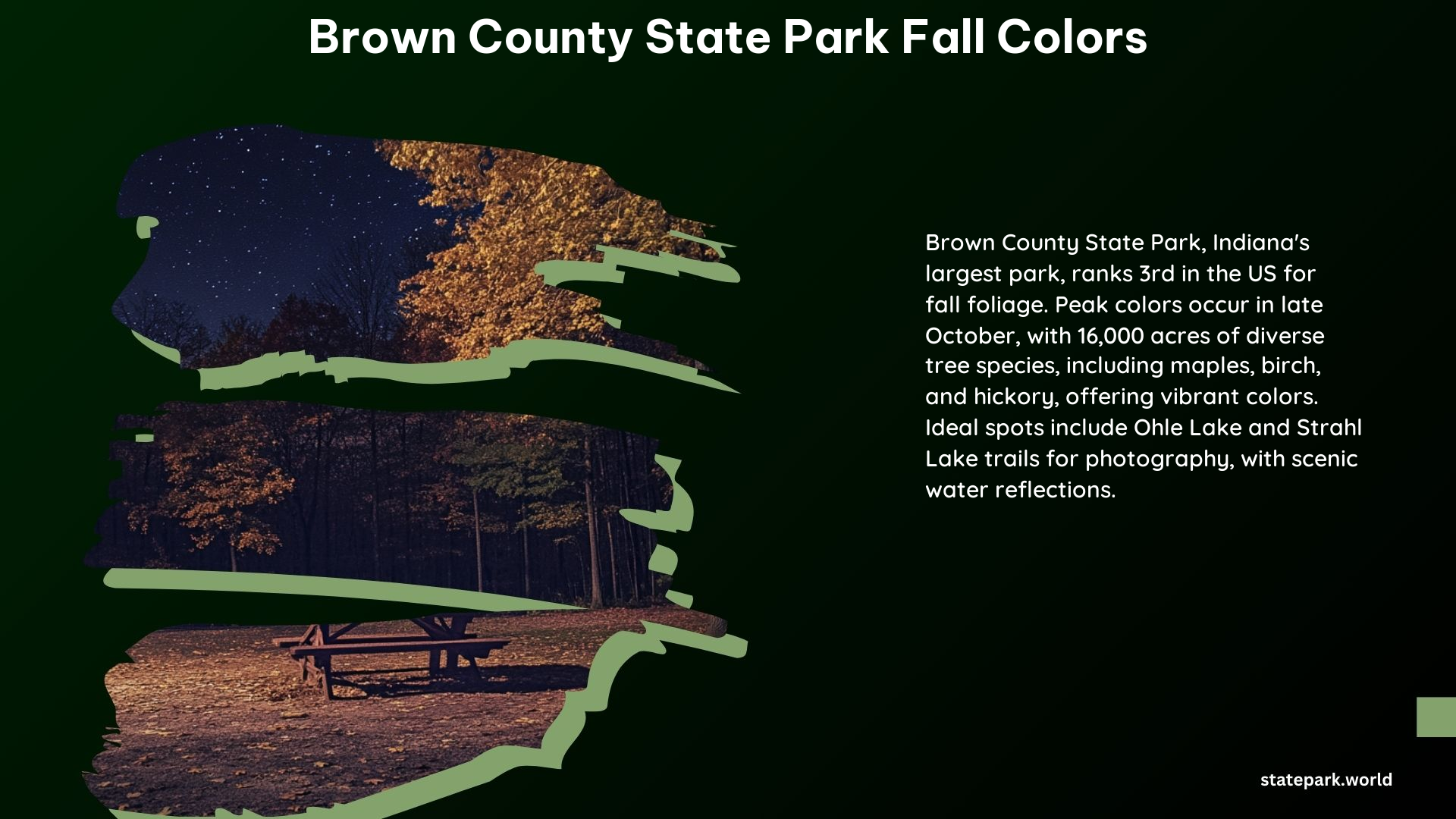 Brown County State Park Fall Colors