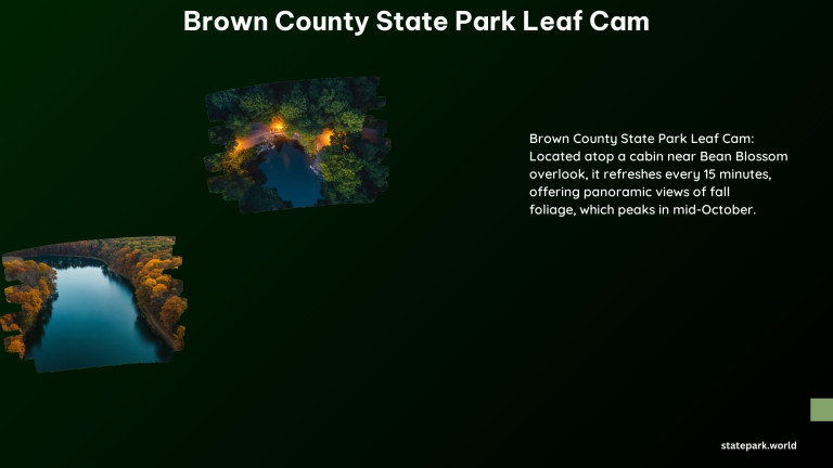 Brown County State Park Leaf Cam