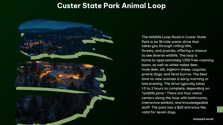 Custer State Park Animal Loop