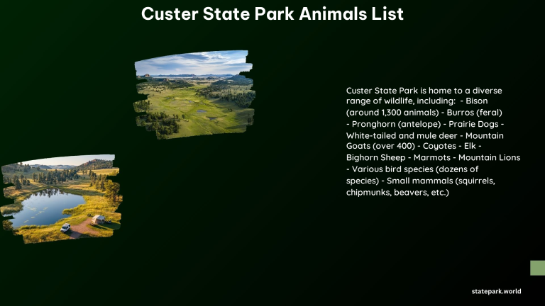 Custer State Park Animals List