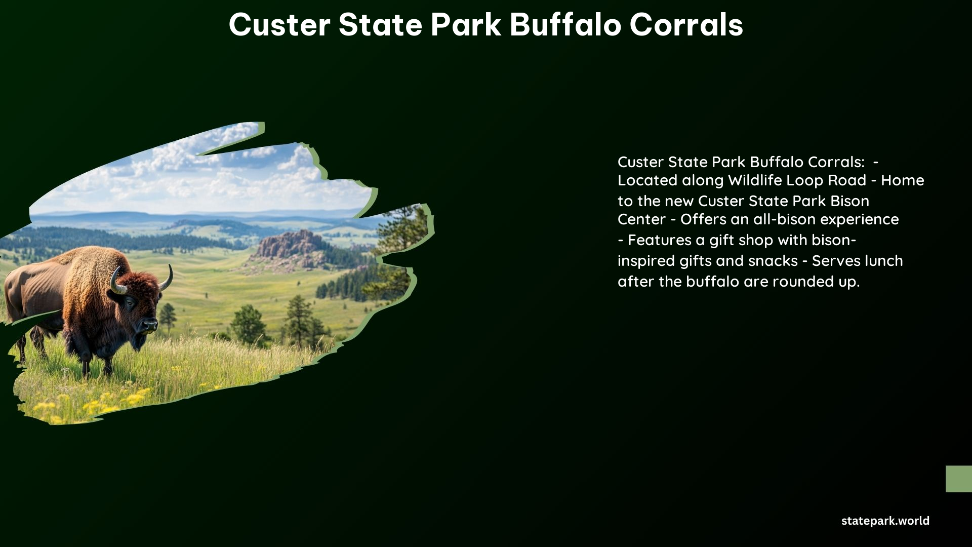 Custer State Park Buffalo Corrals