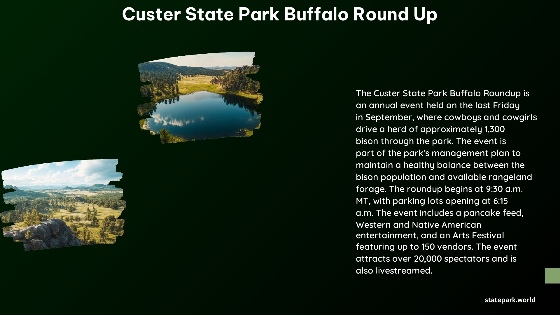 Custer State Park Buffalo Round Up