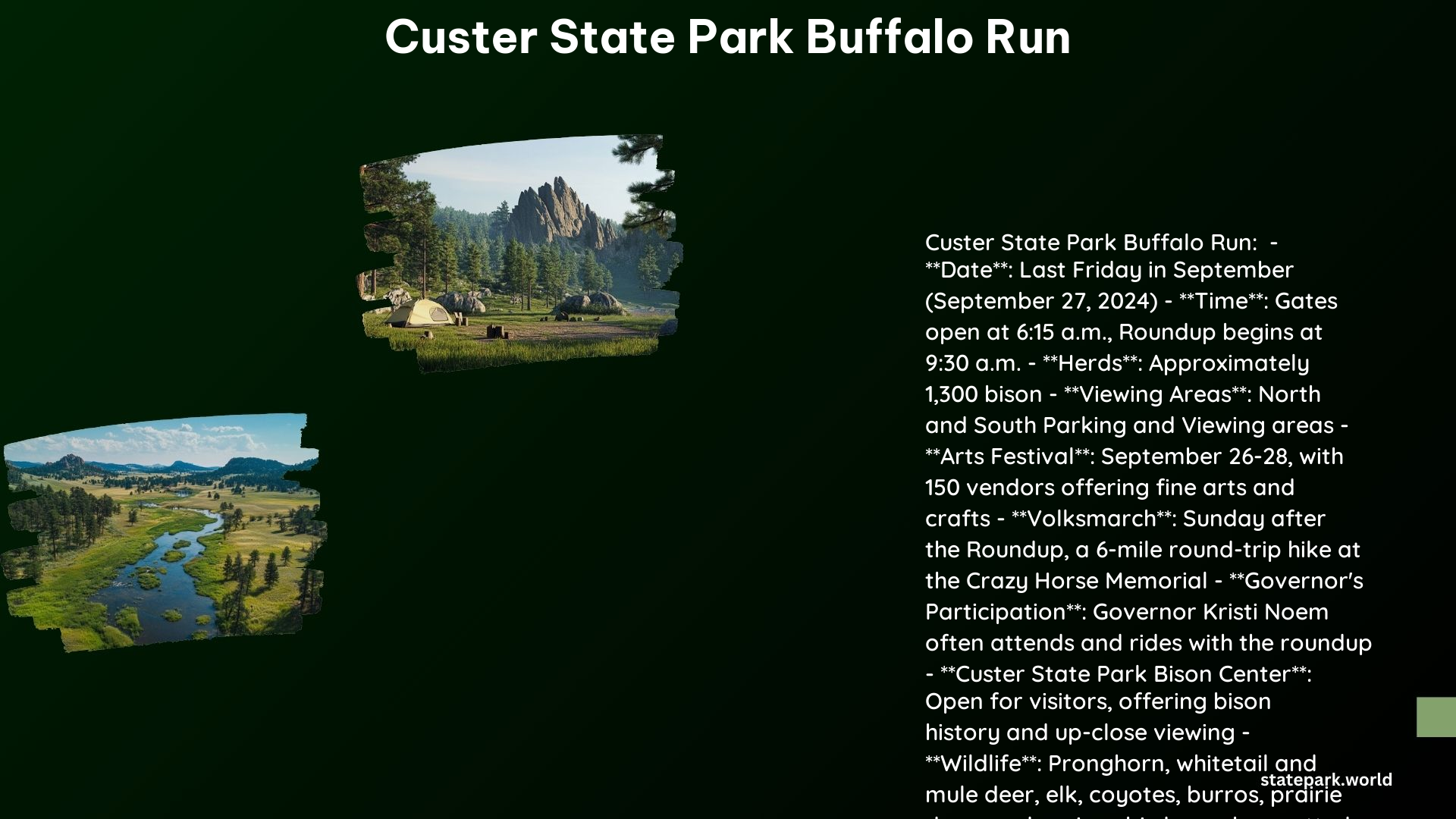 Custer State Park Buffalo Run