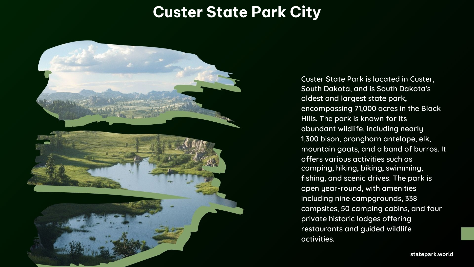 Custer State Park City