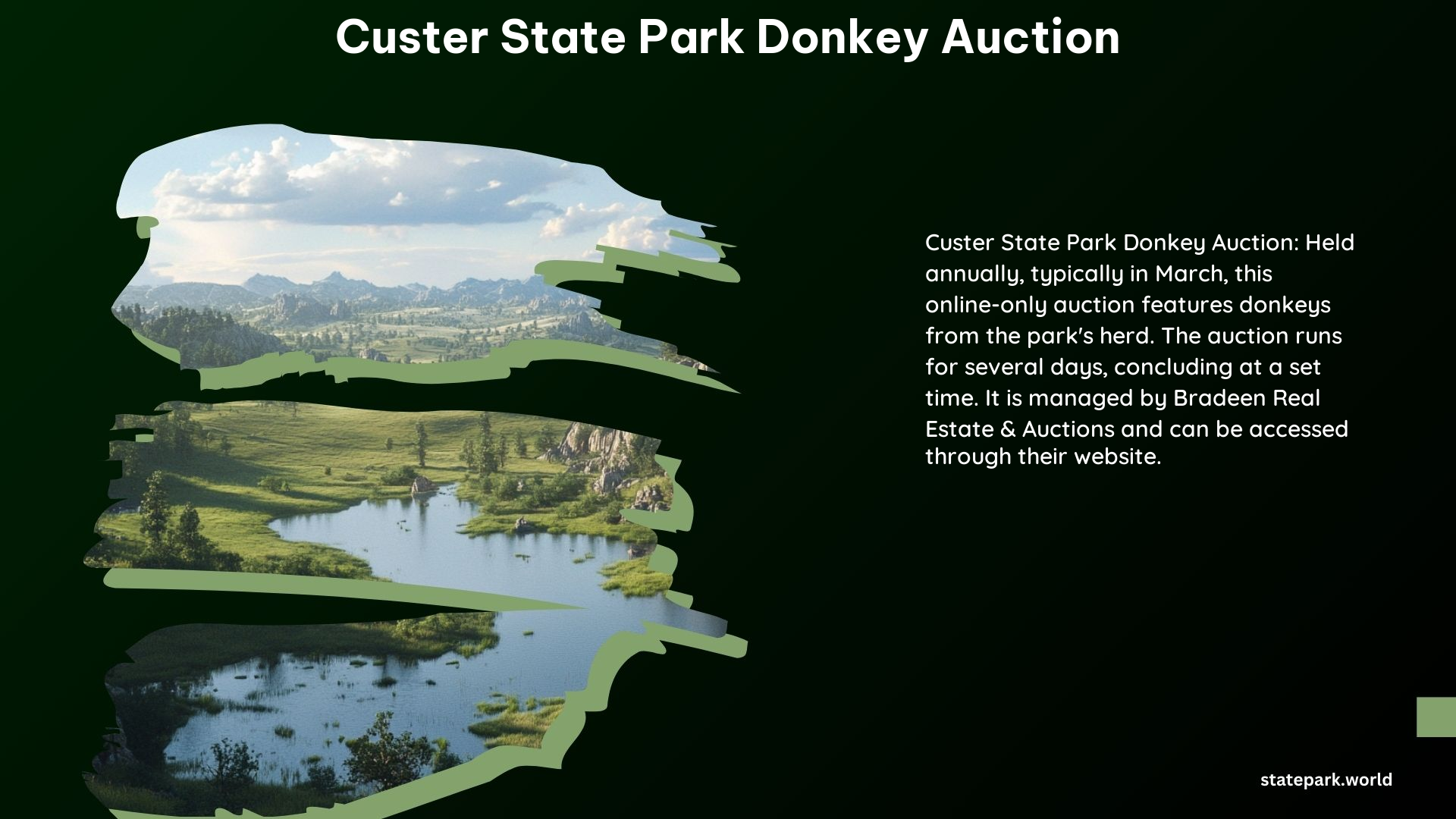 Custer State Park Donkey Auction