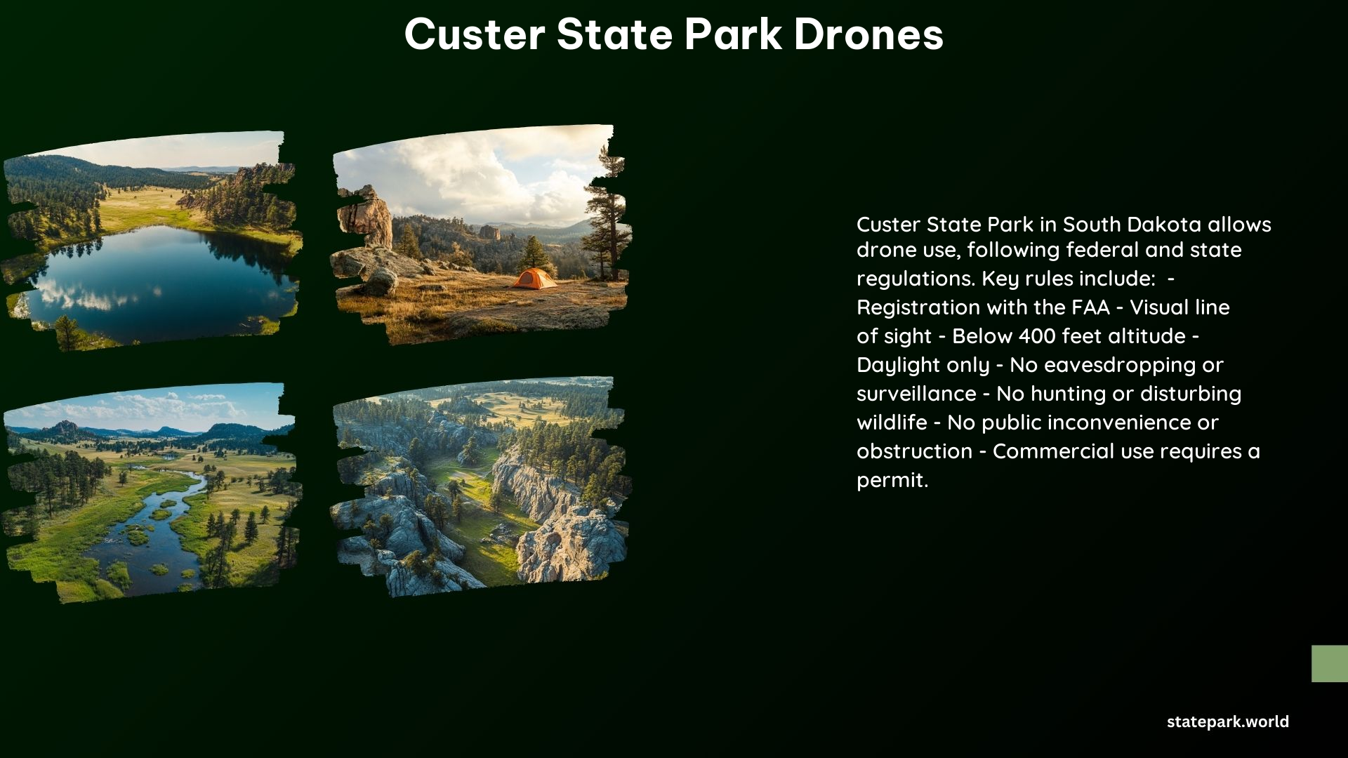 Custer State Park Drones