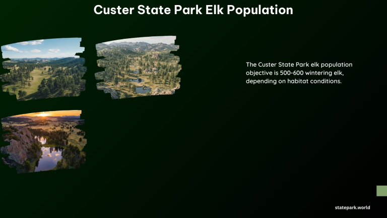 Custer State Park Elk Population