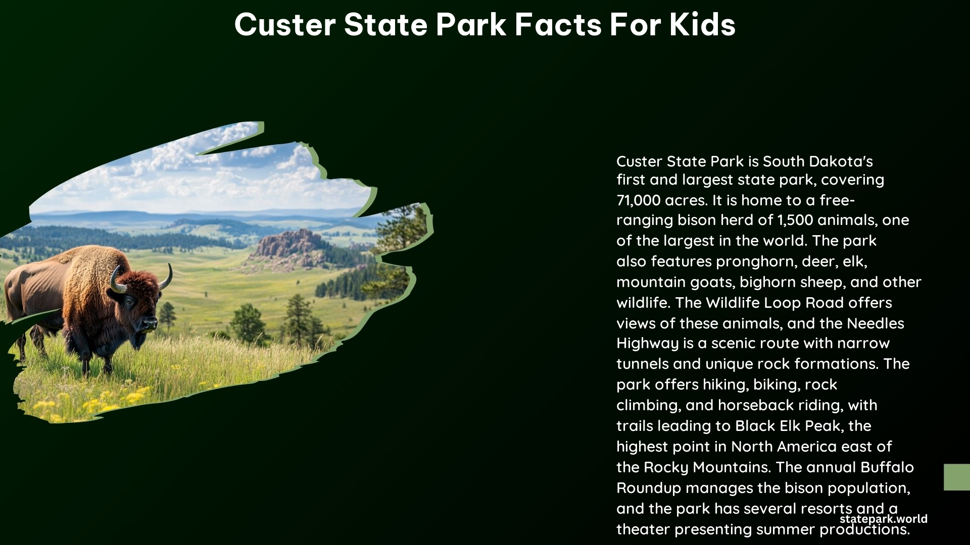 Custer State Park Facts for Kids