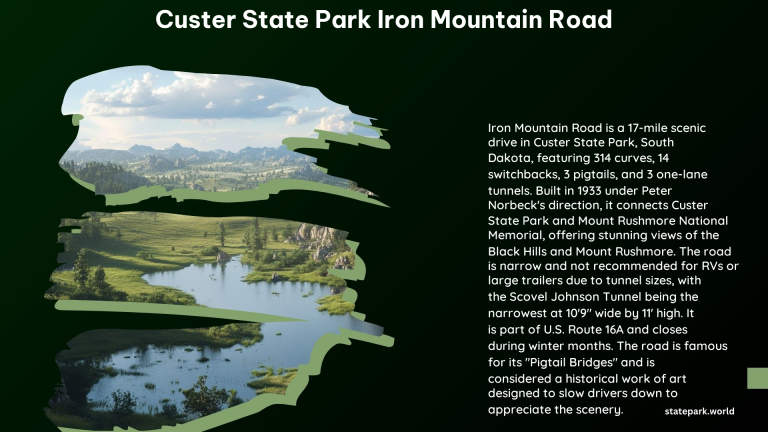 Custer State Park Iron Mountain Road