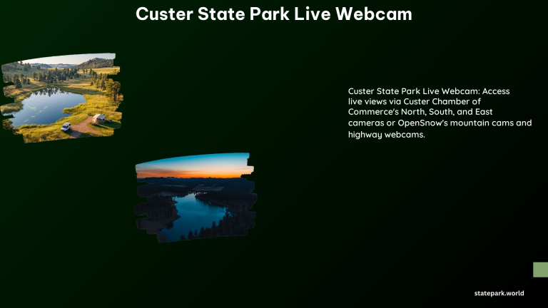 Custer State Park Live Webcam