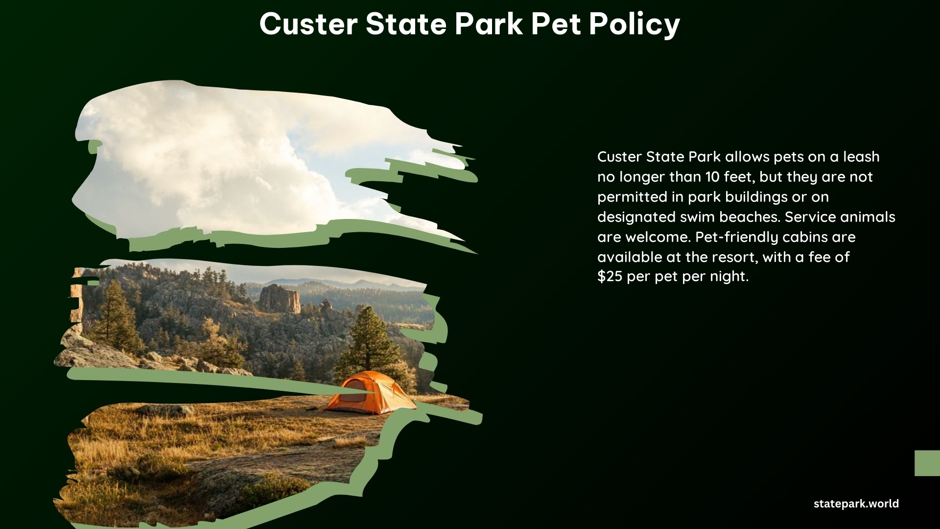 Custer State Park Pet Policy