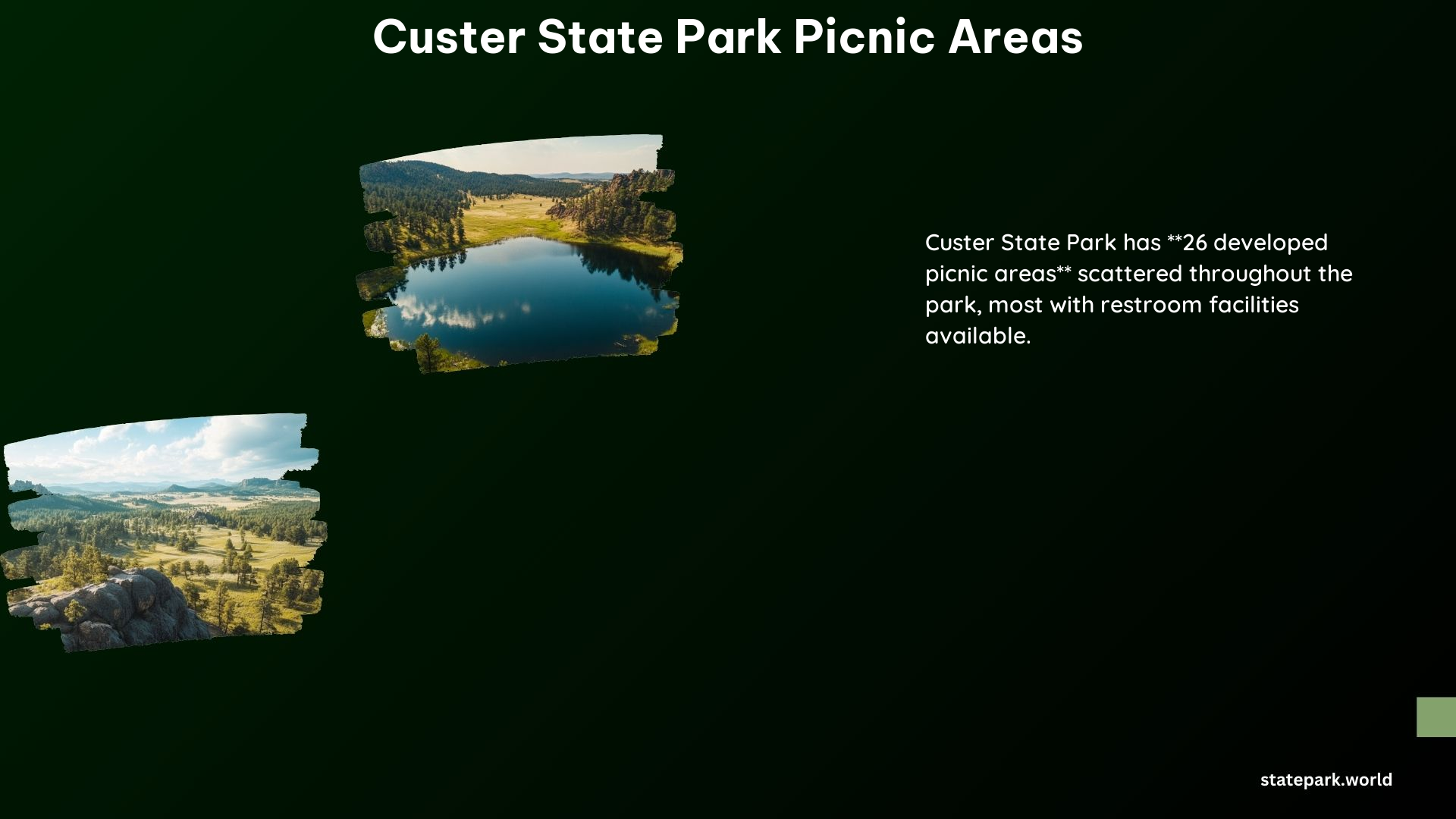 Custer State Park Picnic Areas