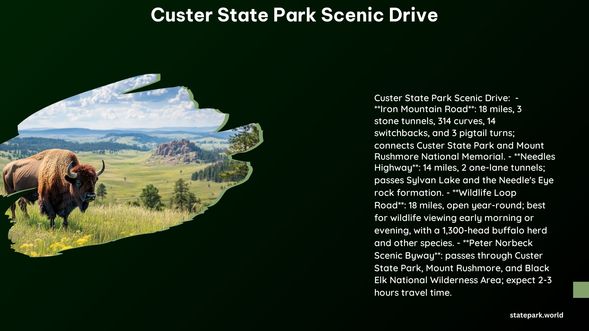 Custer State Park Scenic Drive