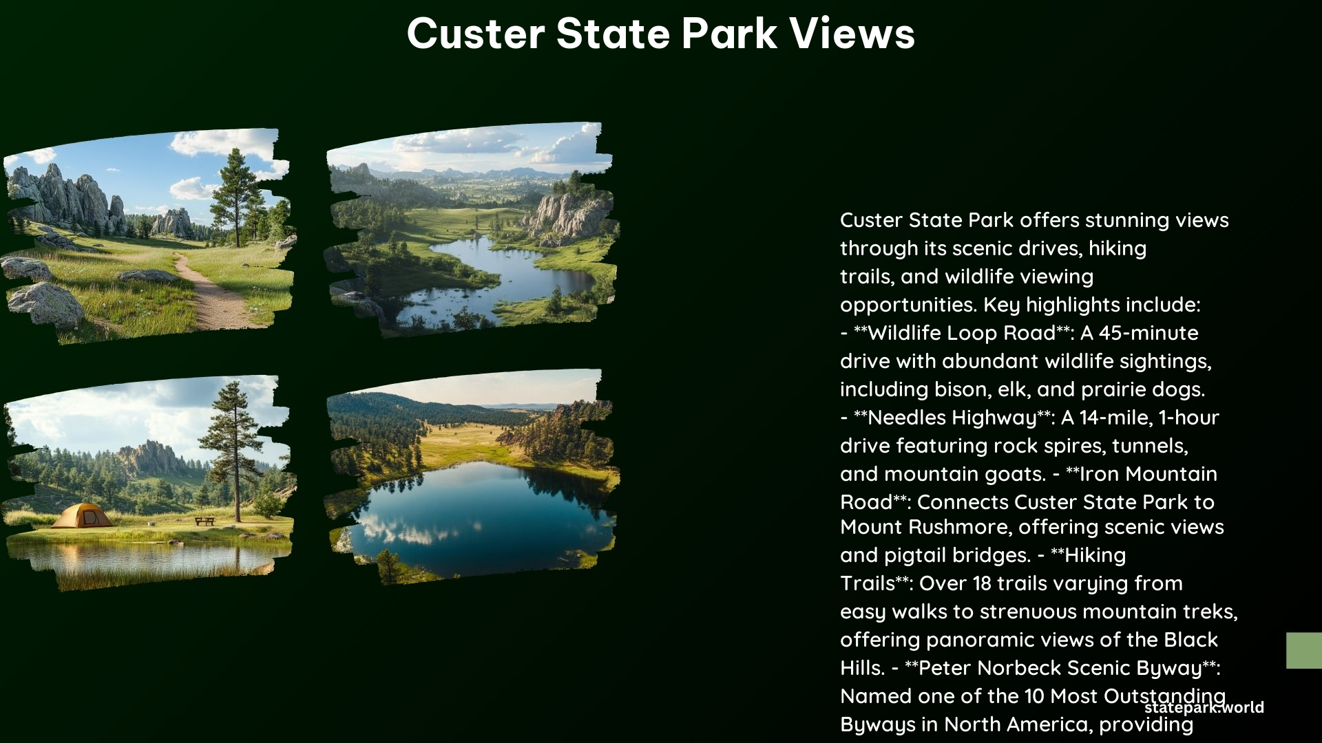 Custer State Park Views