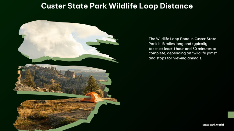 Custer State Park Wildlife Loop Distance