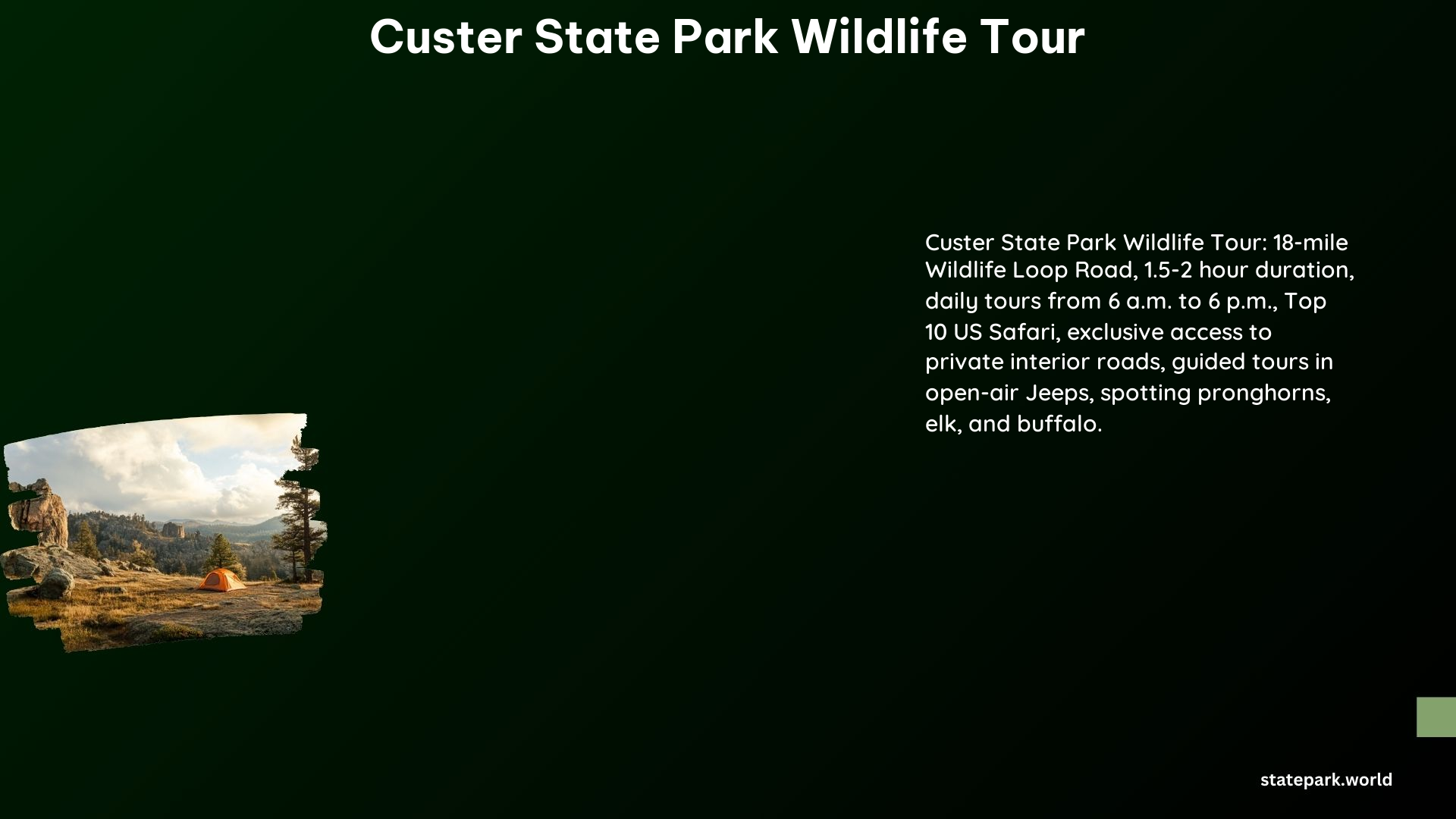 Custer State Park Wildlife Tour