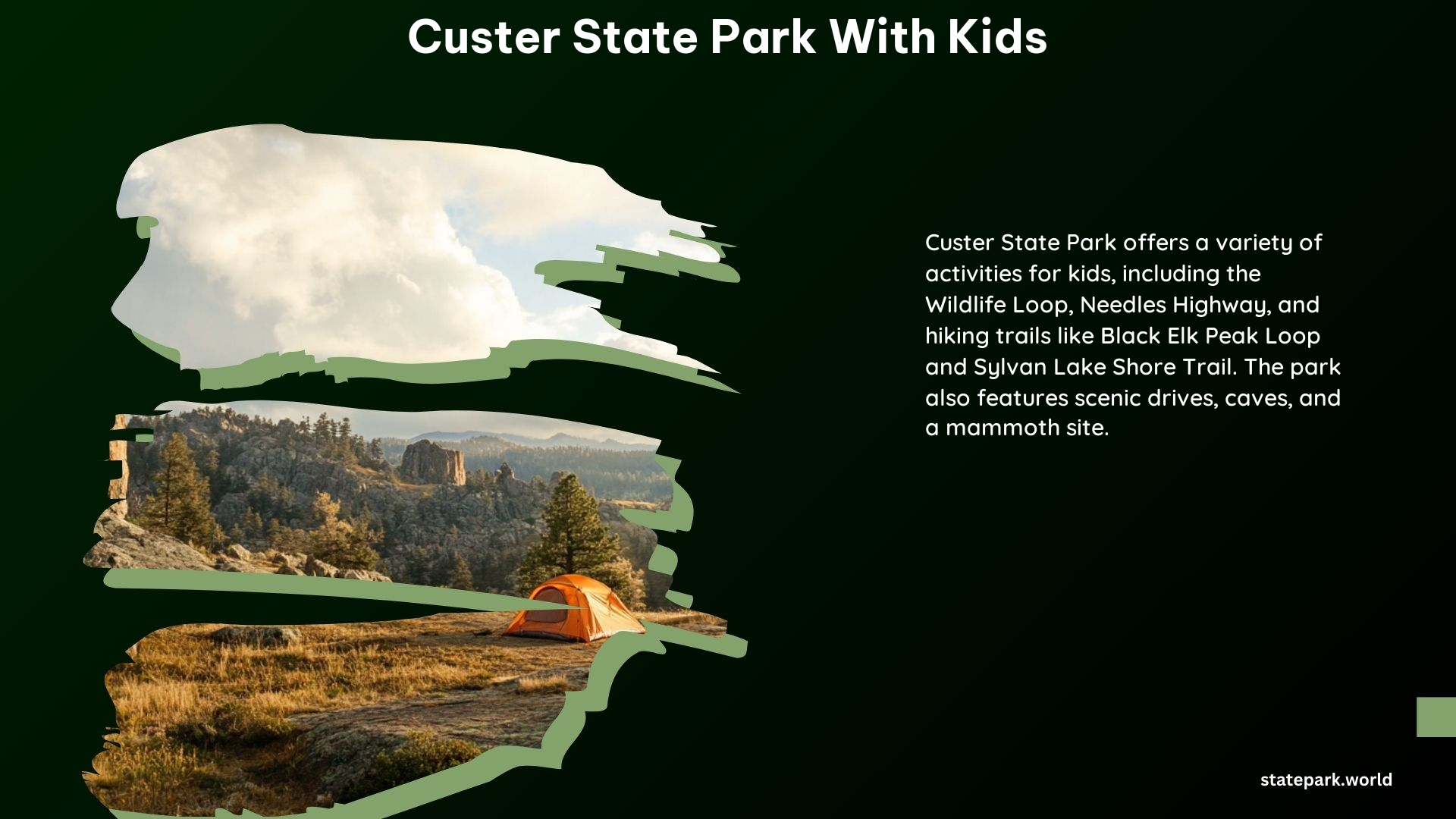 Custer State Park With Kids