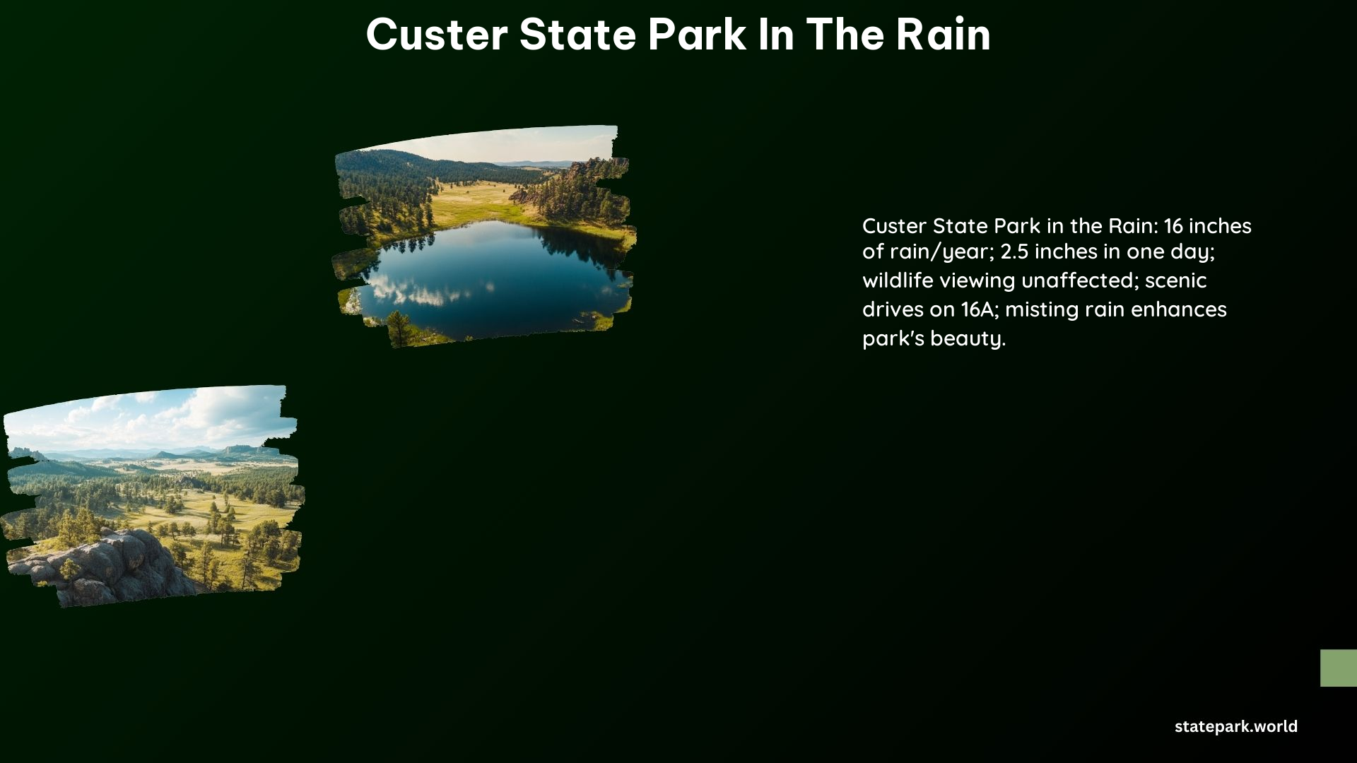 Custer State Park in the Rain