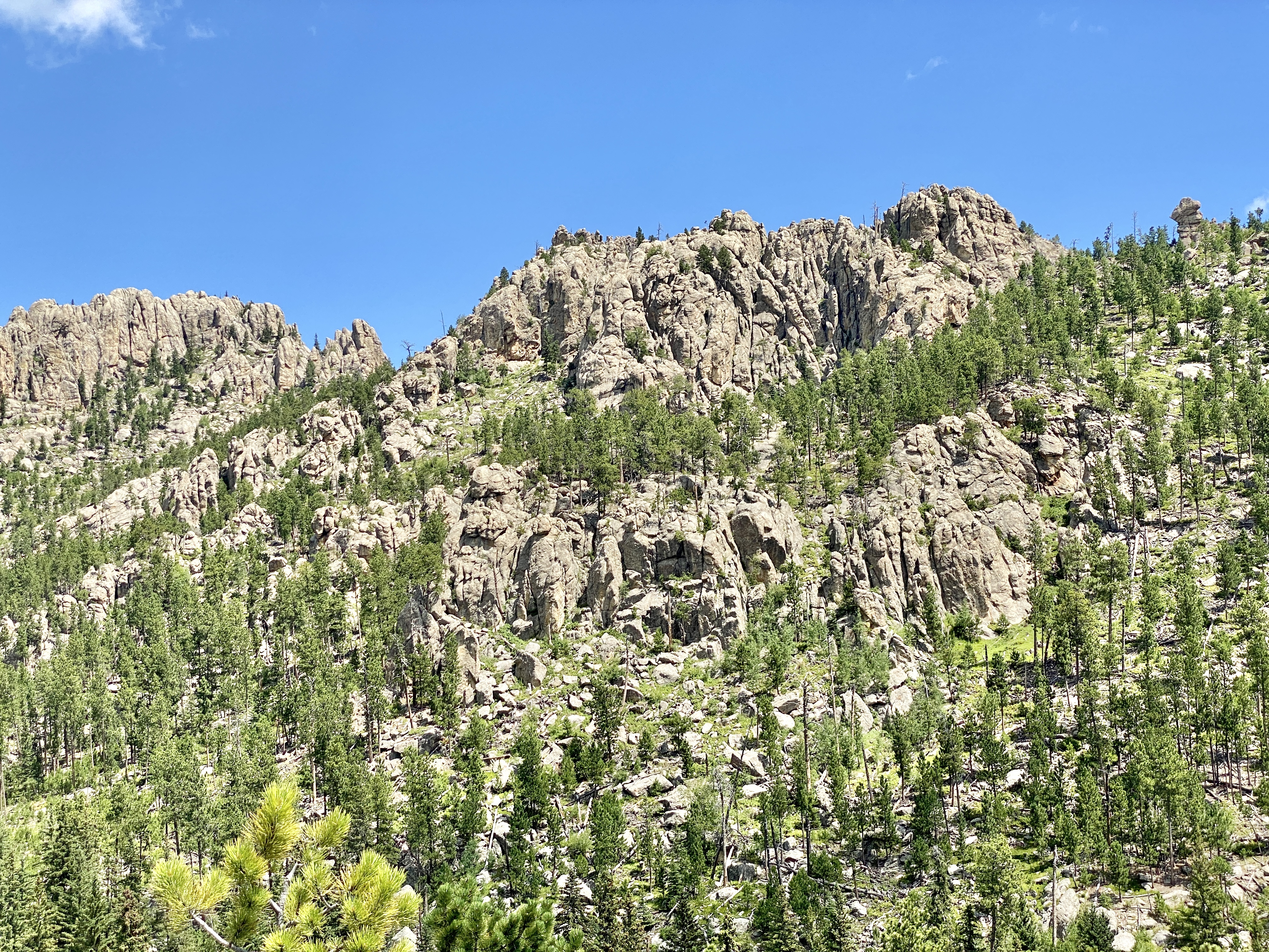 Custer State Park Rock Climbing