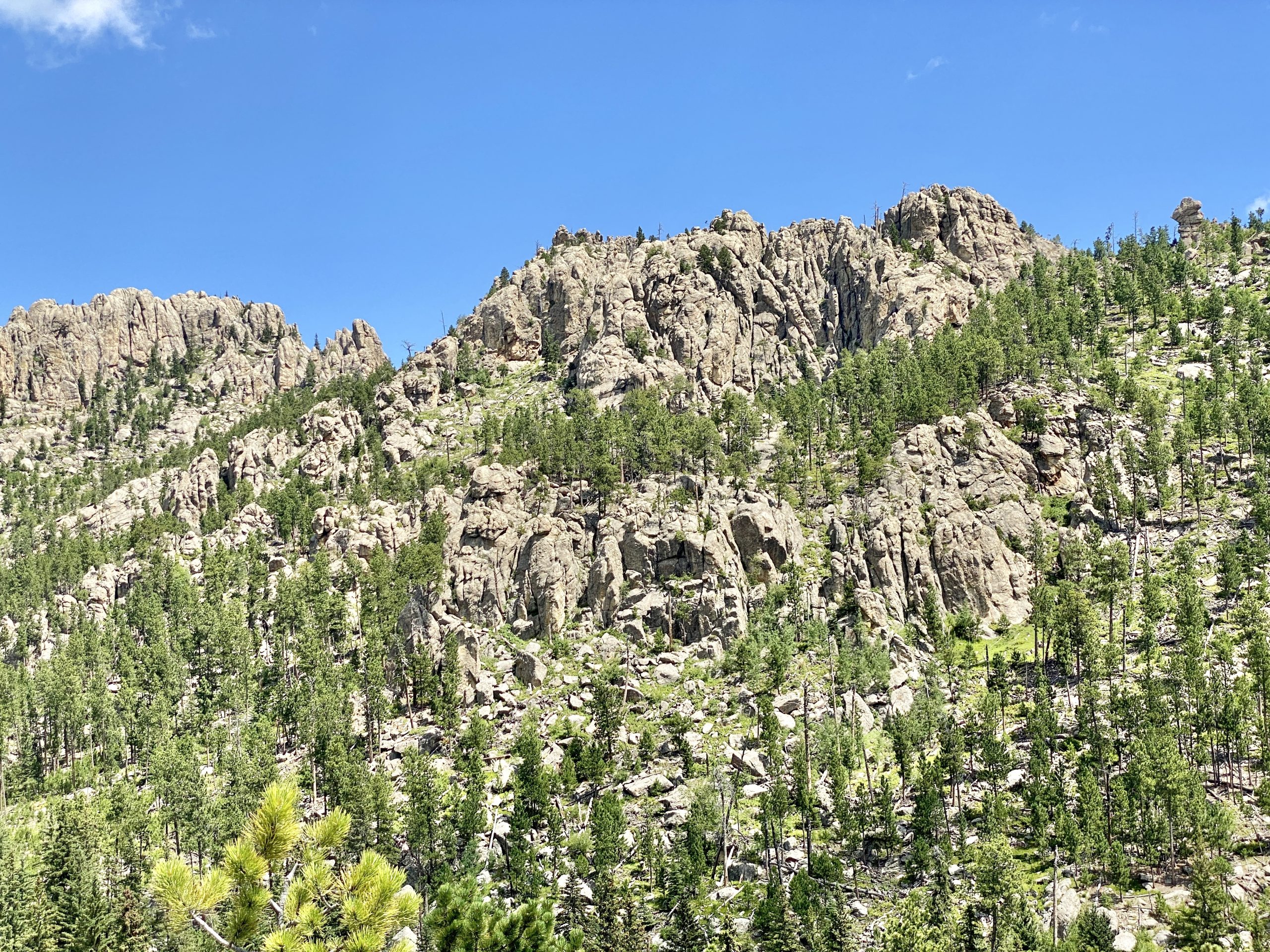 Custer State Park Little Devils Tower