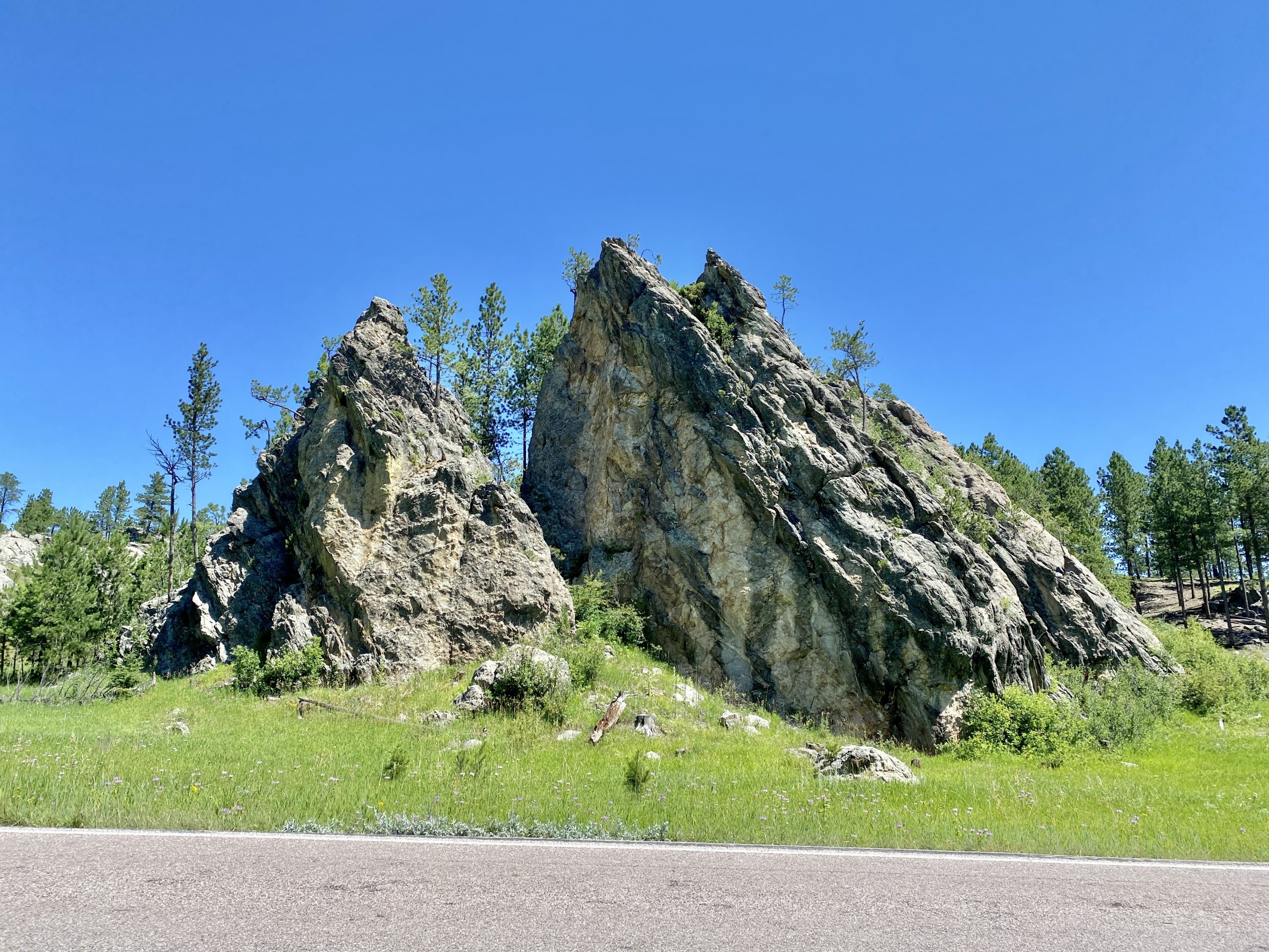 Custer State Park Bike Trails