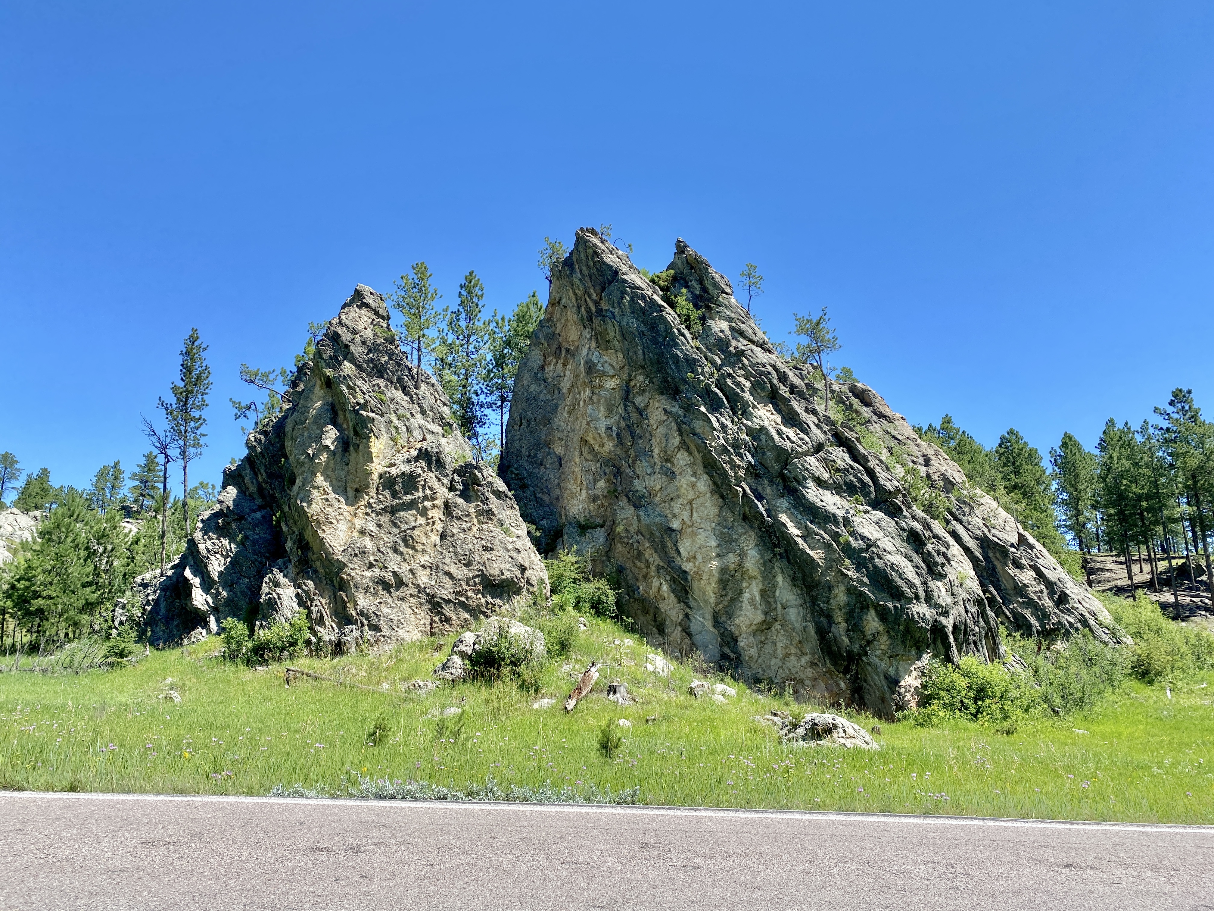 Rapid City to Custer State Park