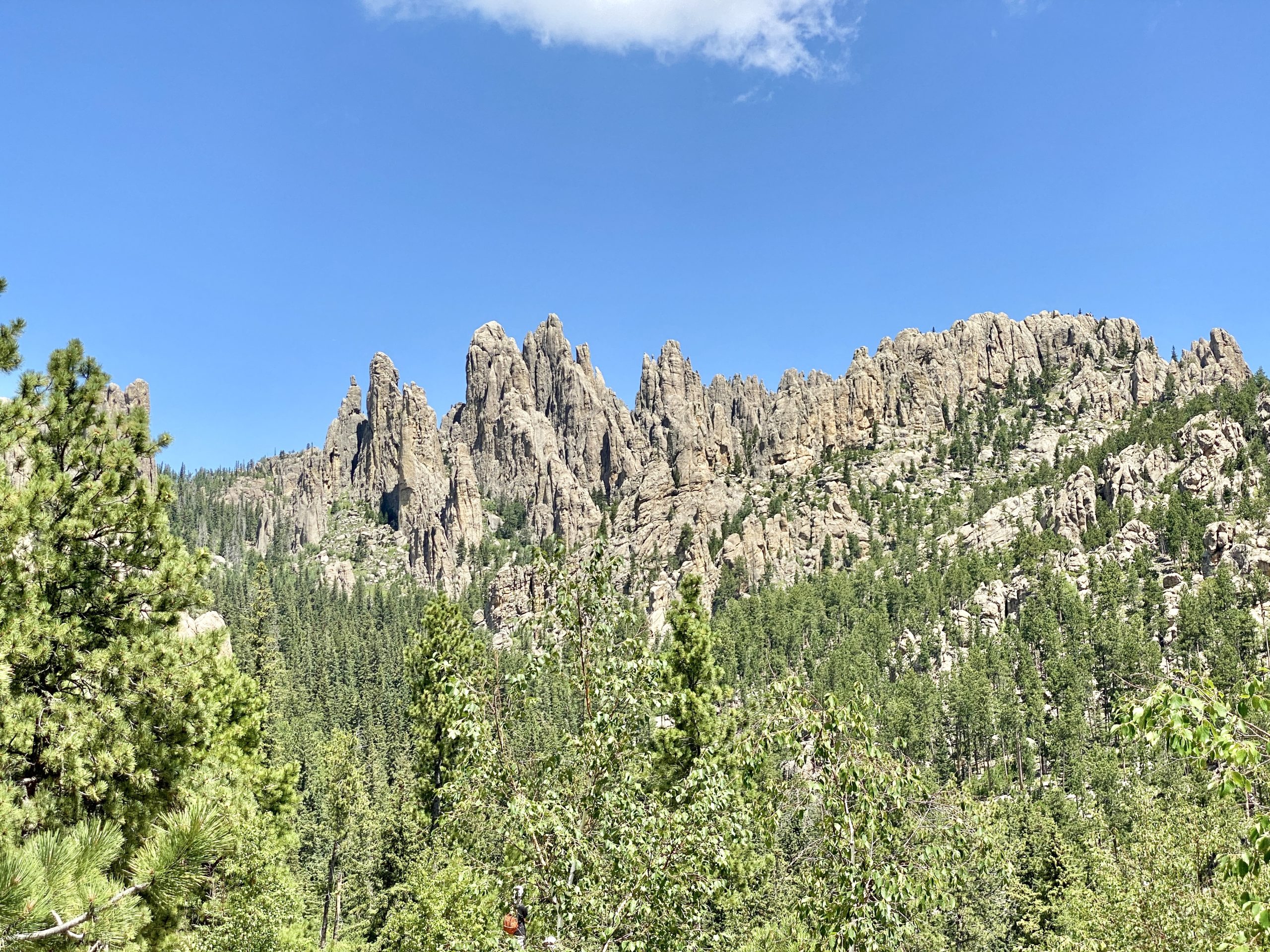 Custer State Park Easy Hikes