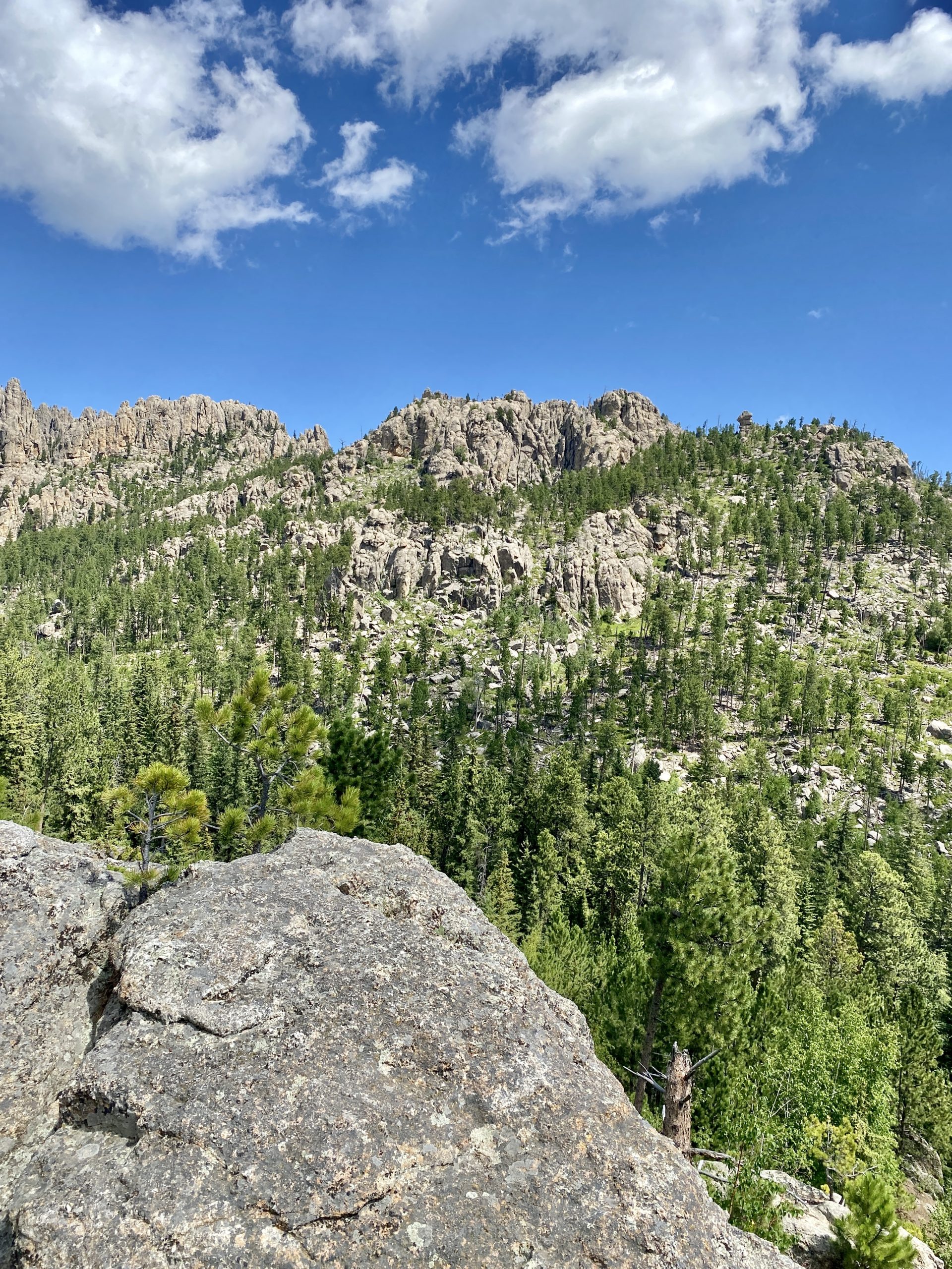 Custer State Park Hikes With Kids