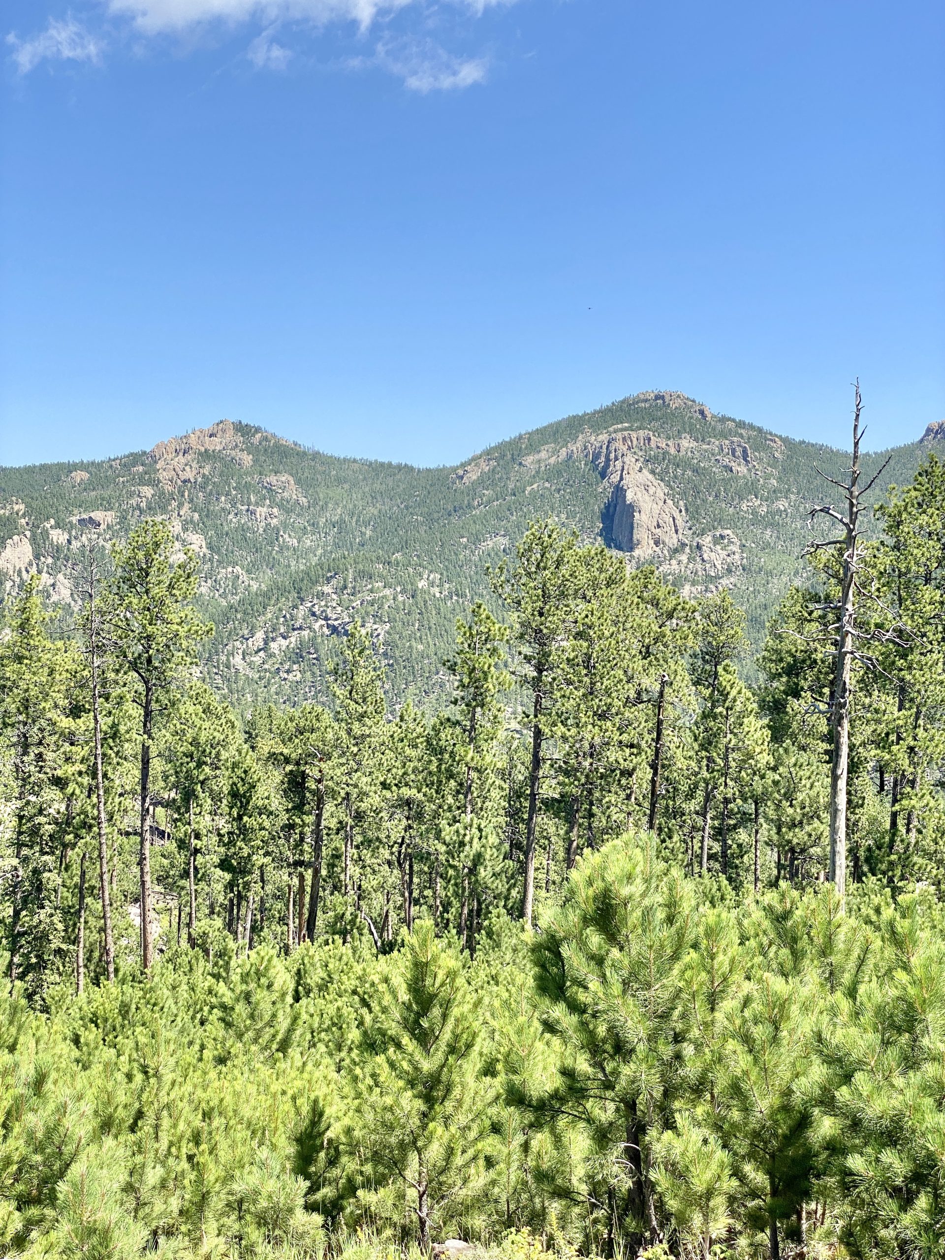 Custer State Park Gold Panning