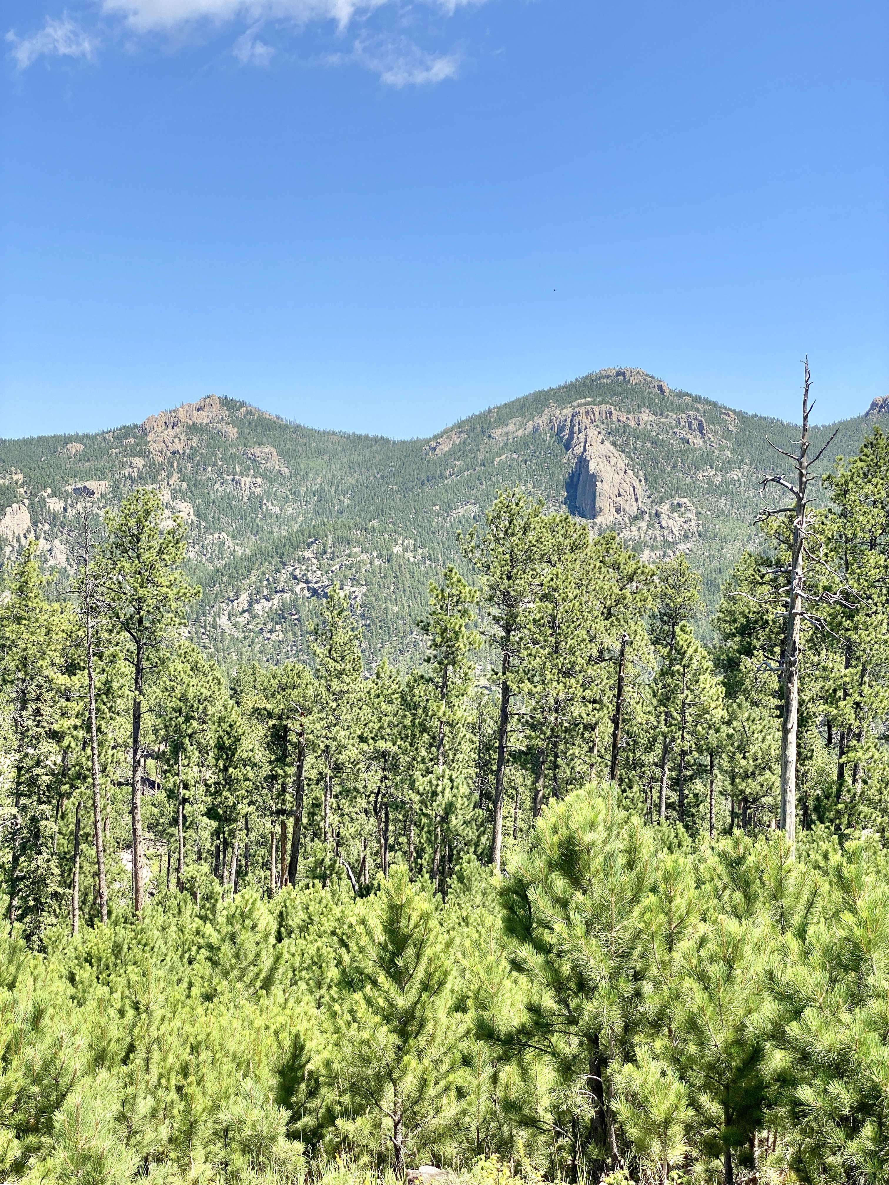 Custer State Park Junior Ranger Program