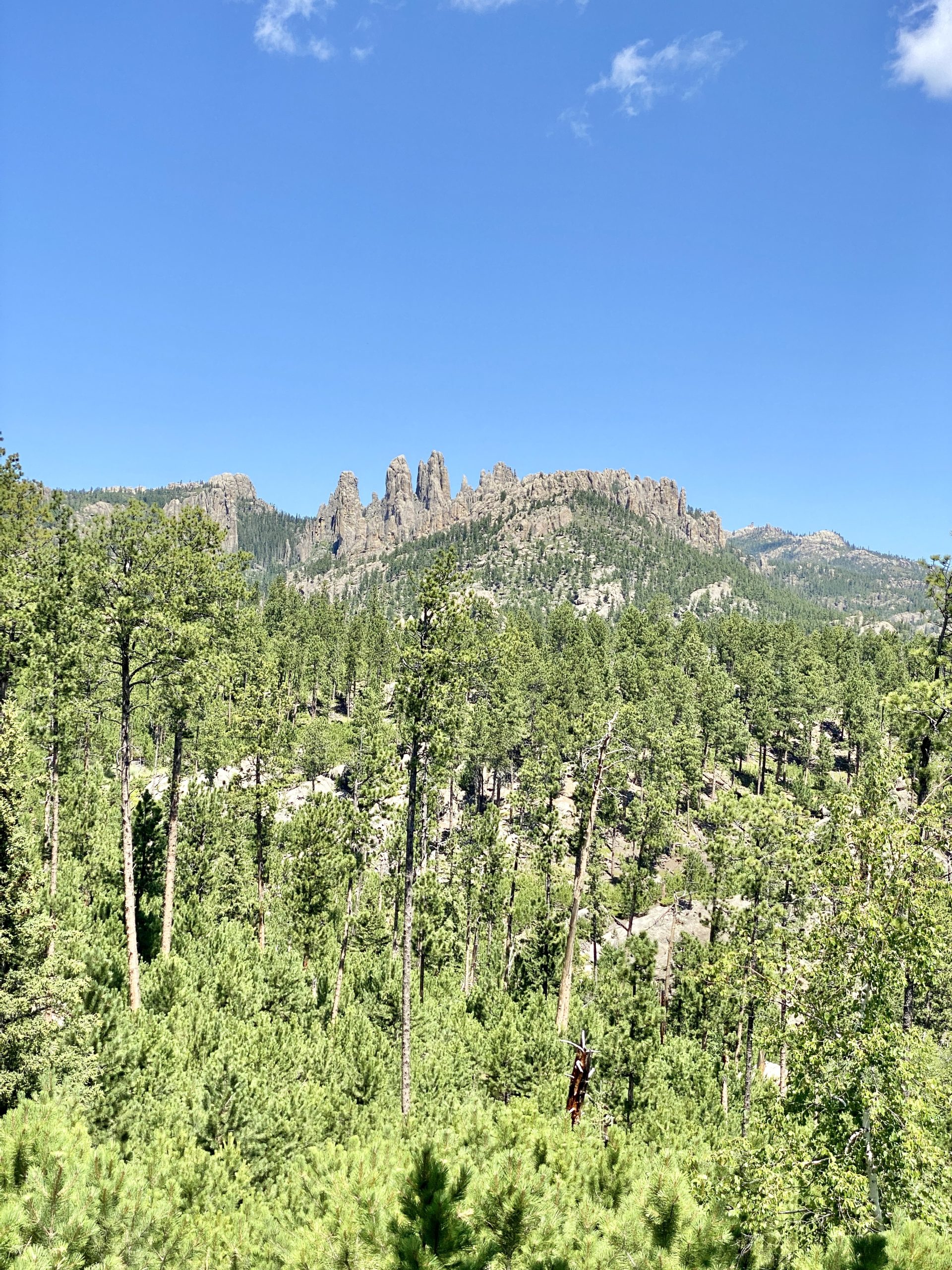 Custer State Park Average Temperatures