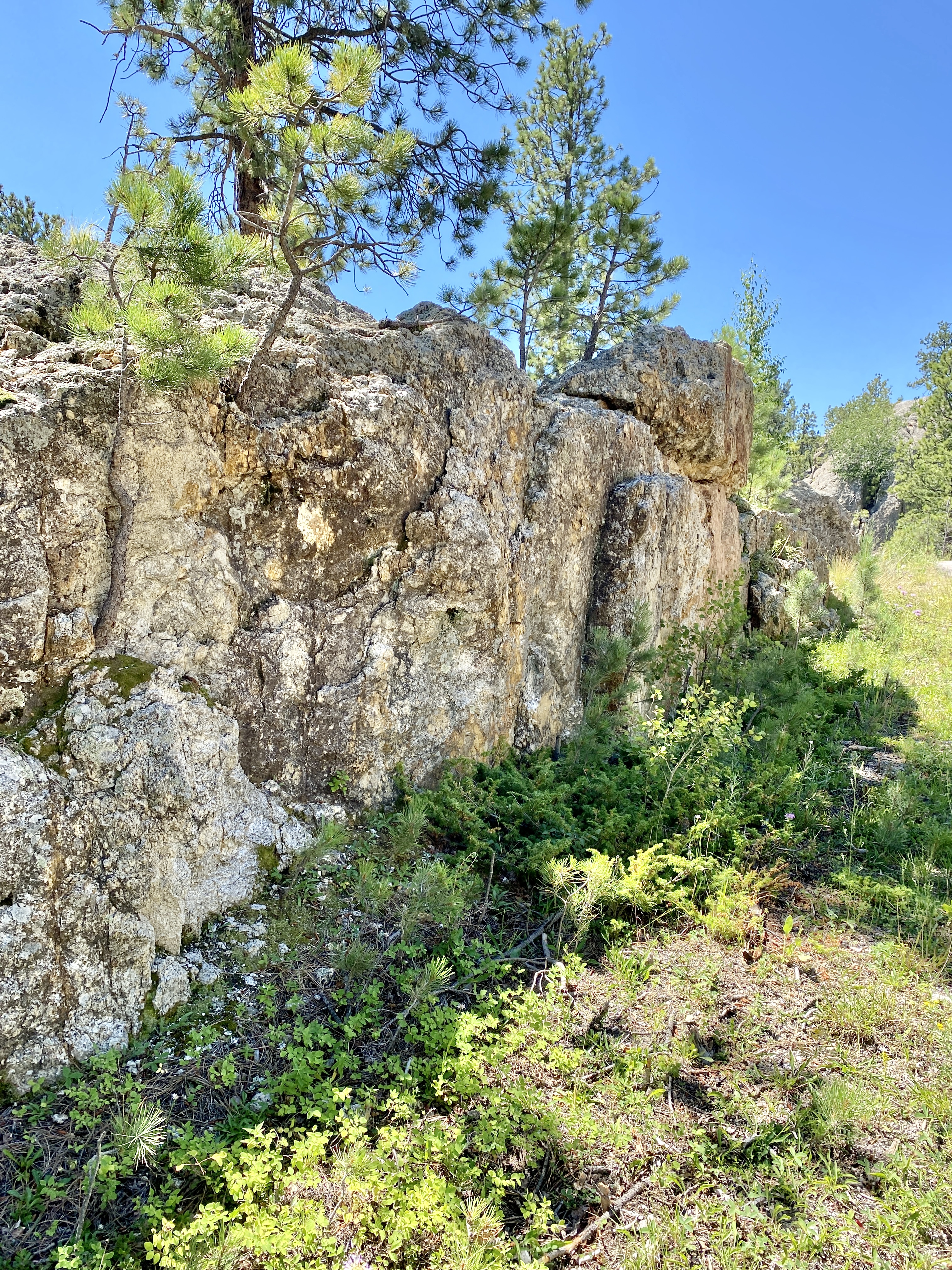 Custer State Park RV Dump Station