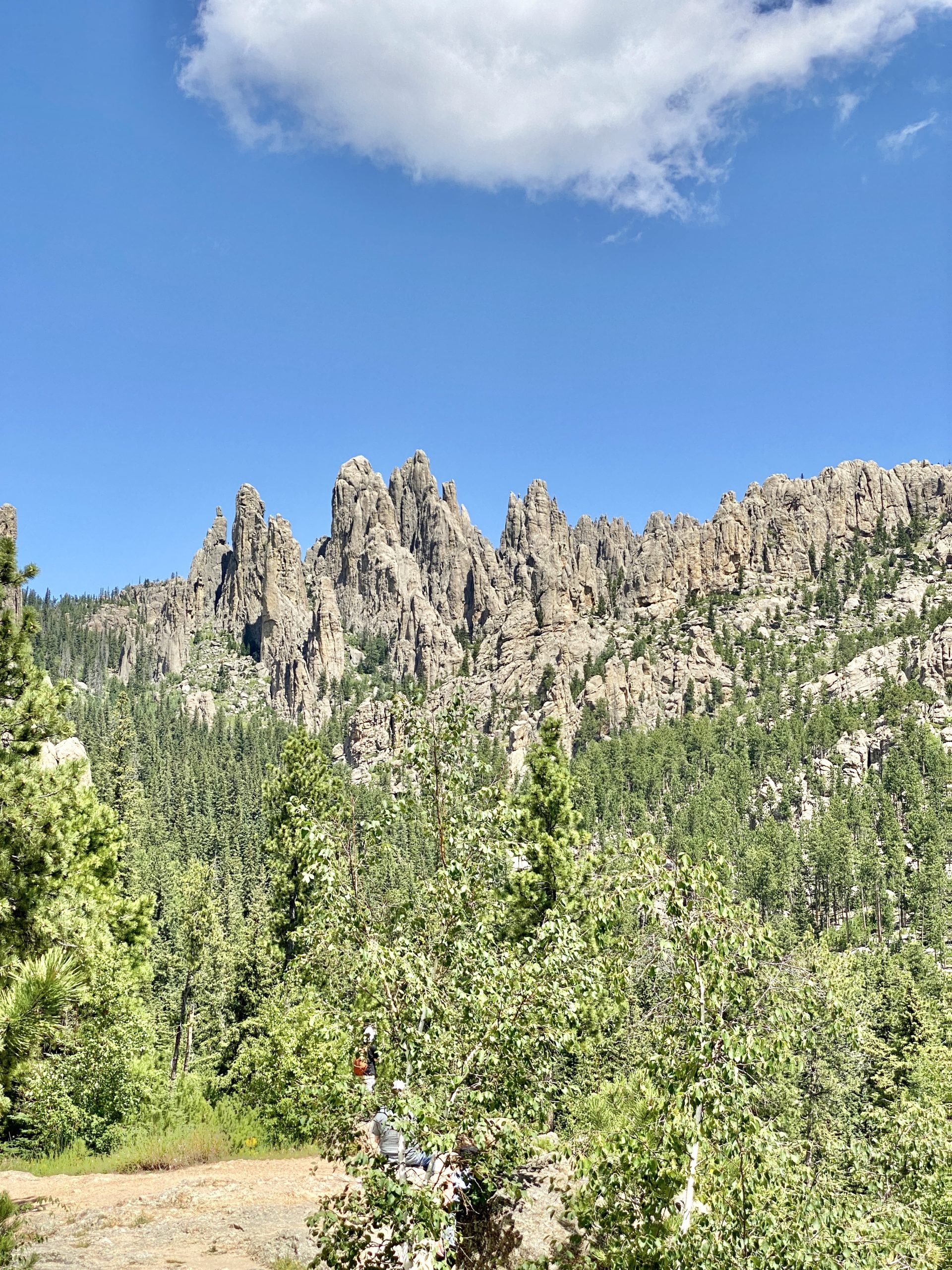 Custer State Park Fire Tower