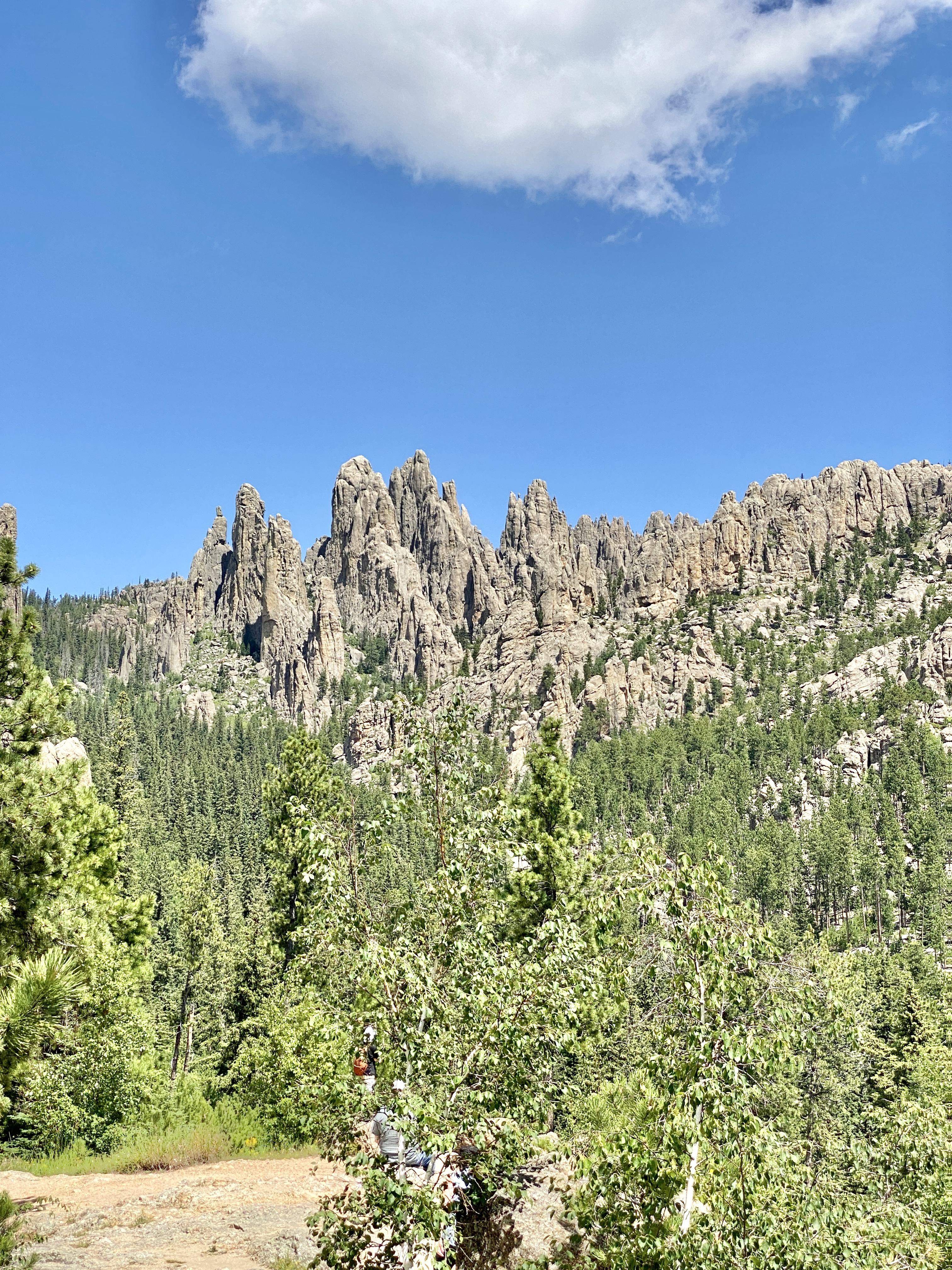 Custer State Park Mountain Goats