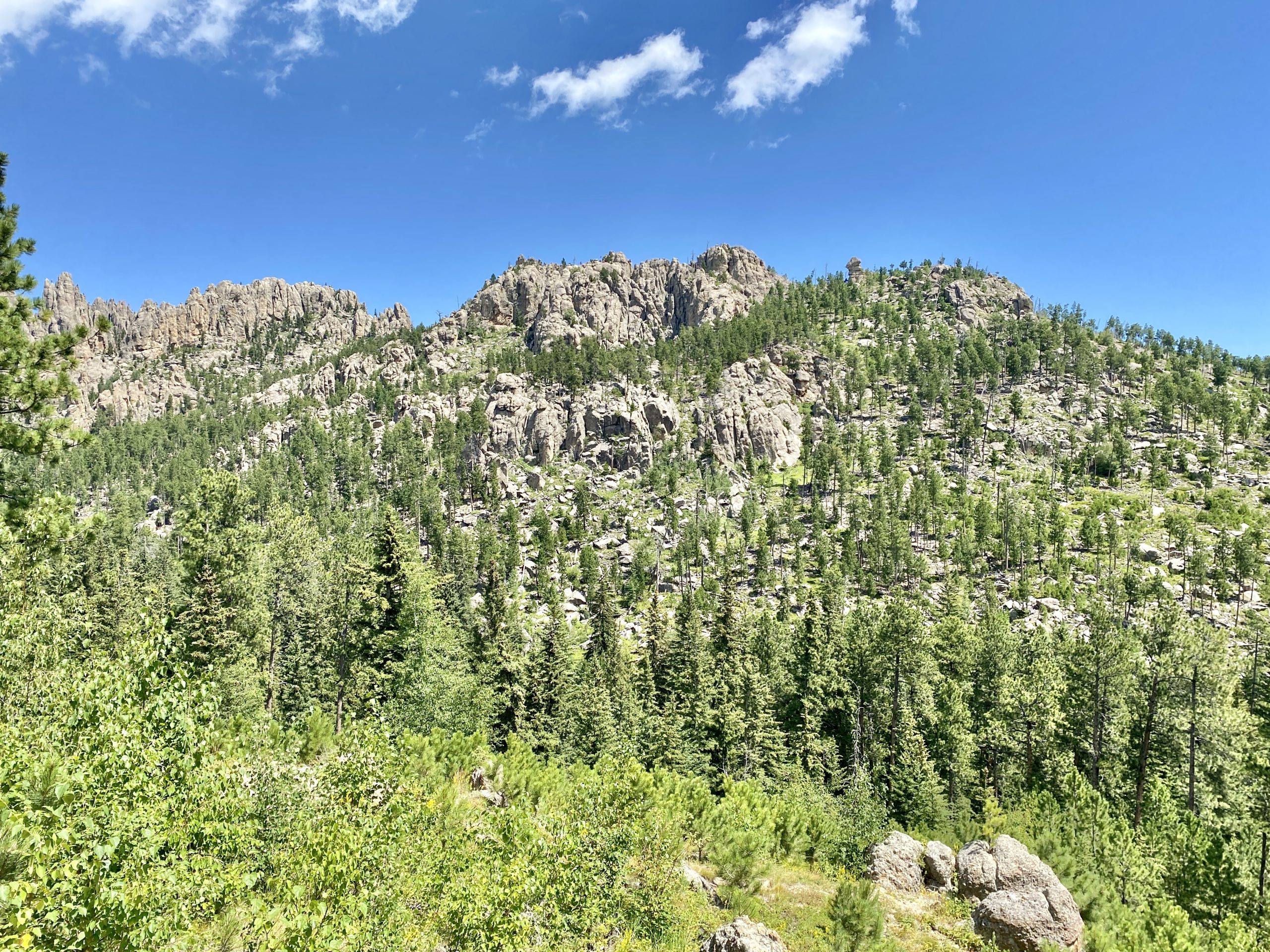 Custer State Park French Creek