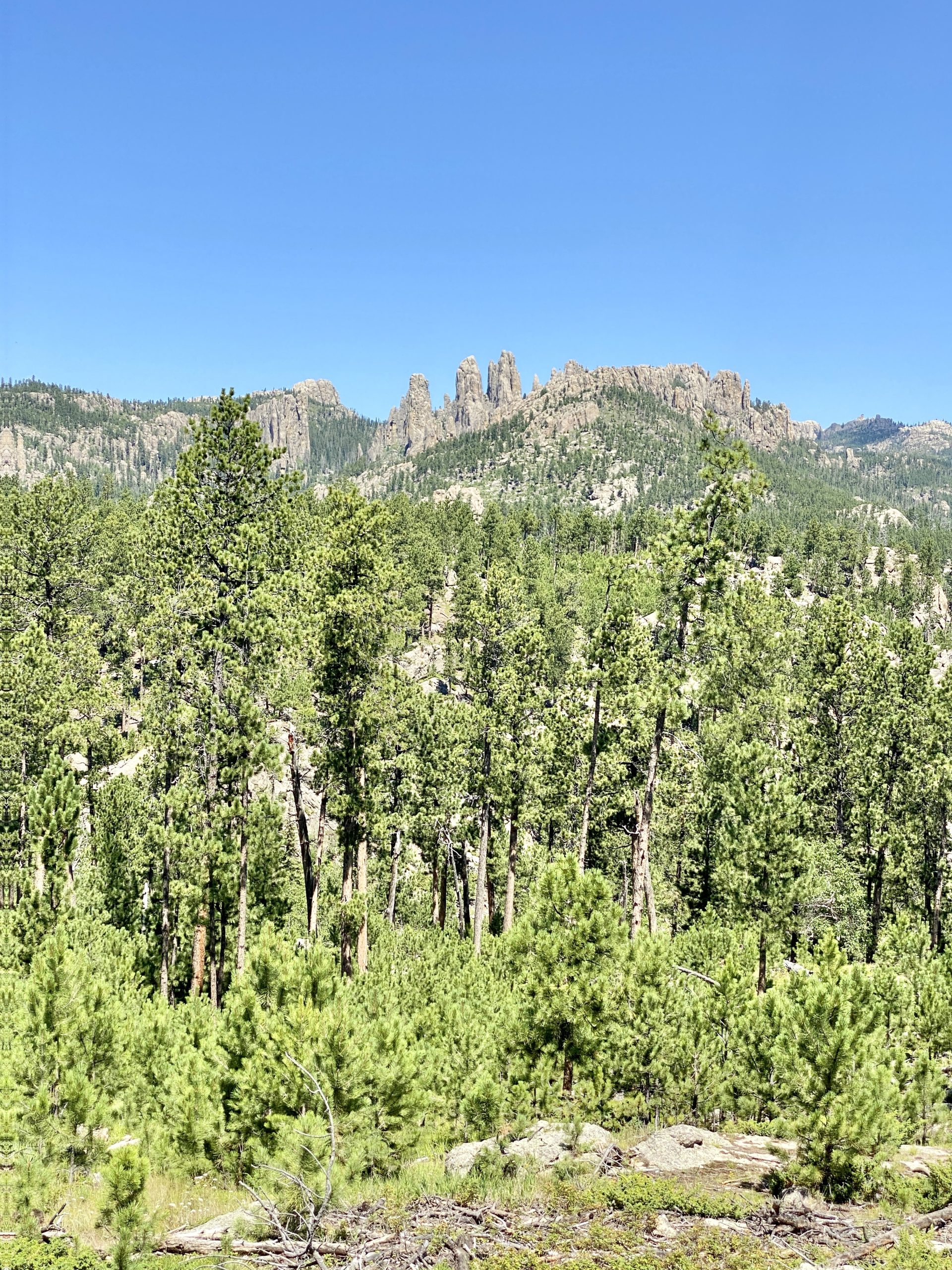 Custer State Park Cliff Jumping