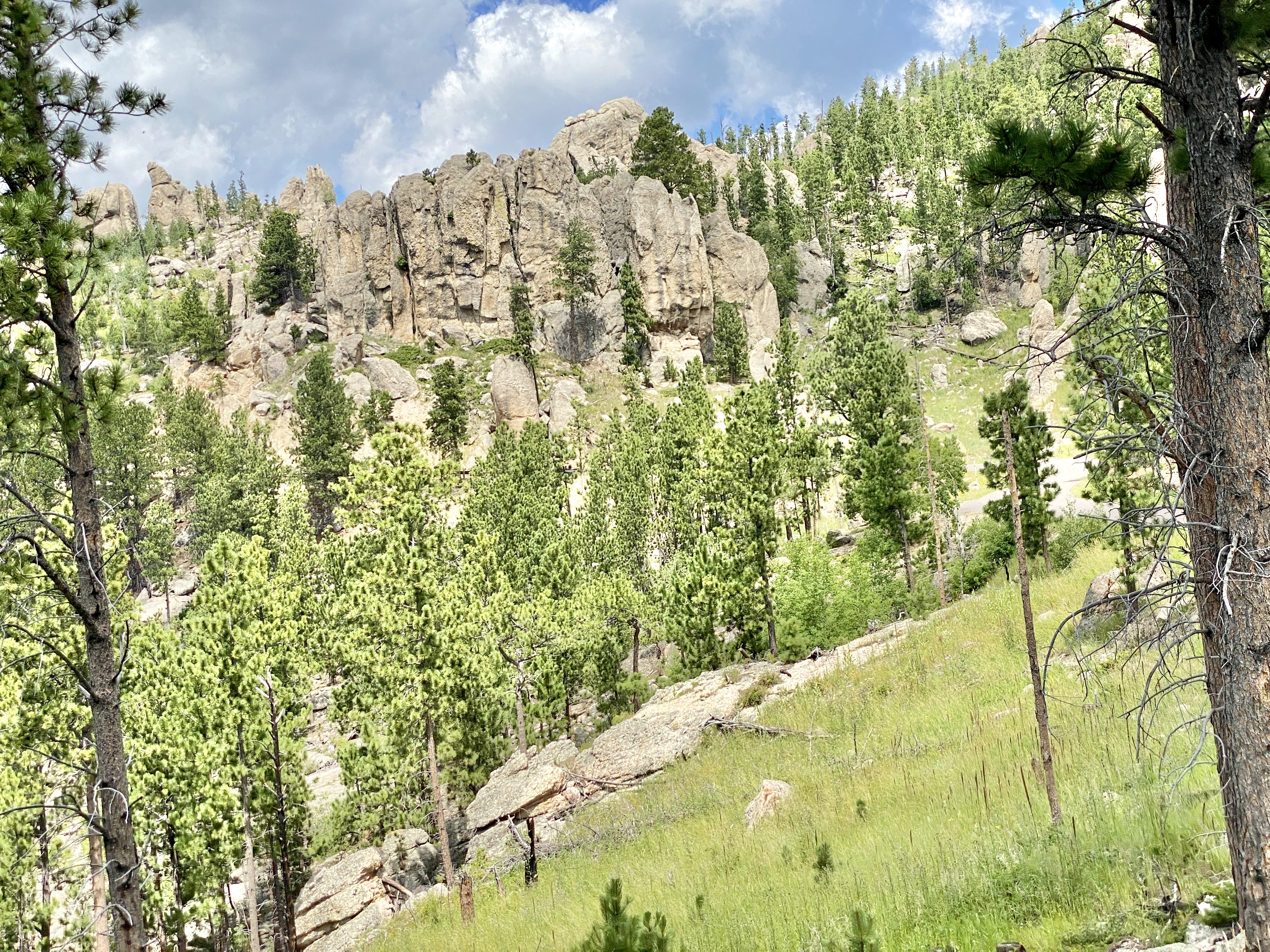 Is Custer State Park a National Park